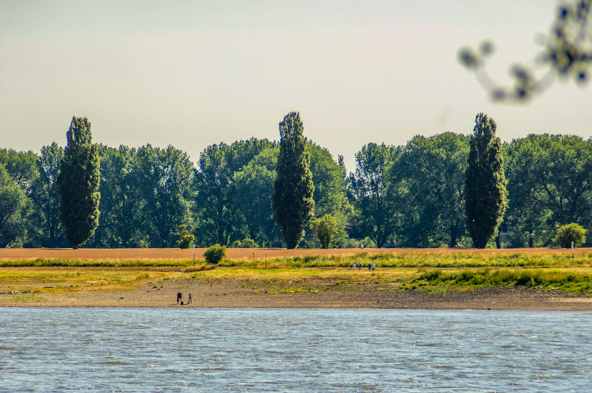 Rhein bei Langs-Kierst