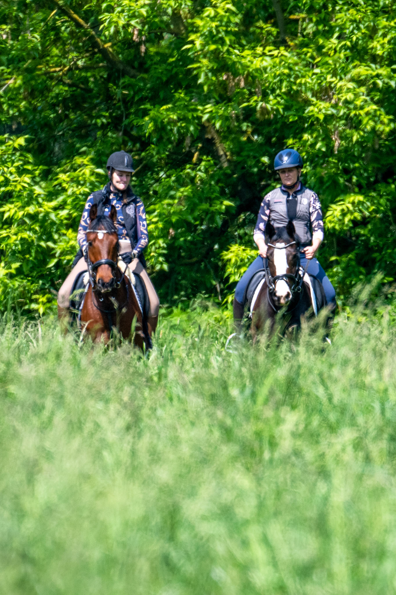 Rhein bei Langs-Kierst