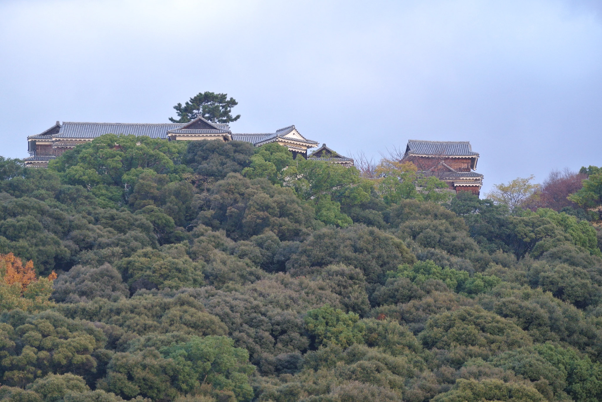 Japan