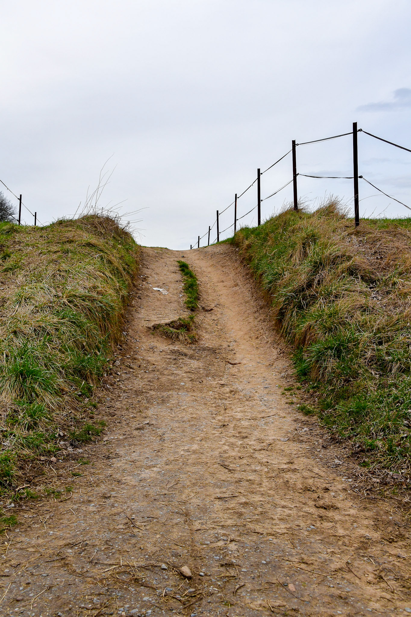 Rhein bei Langs-Kierst