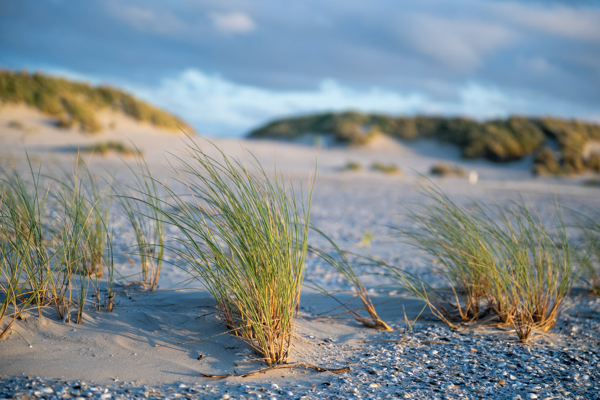 Ameland