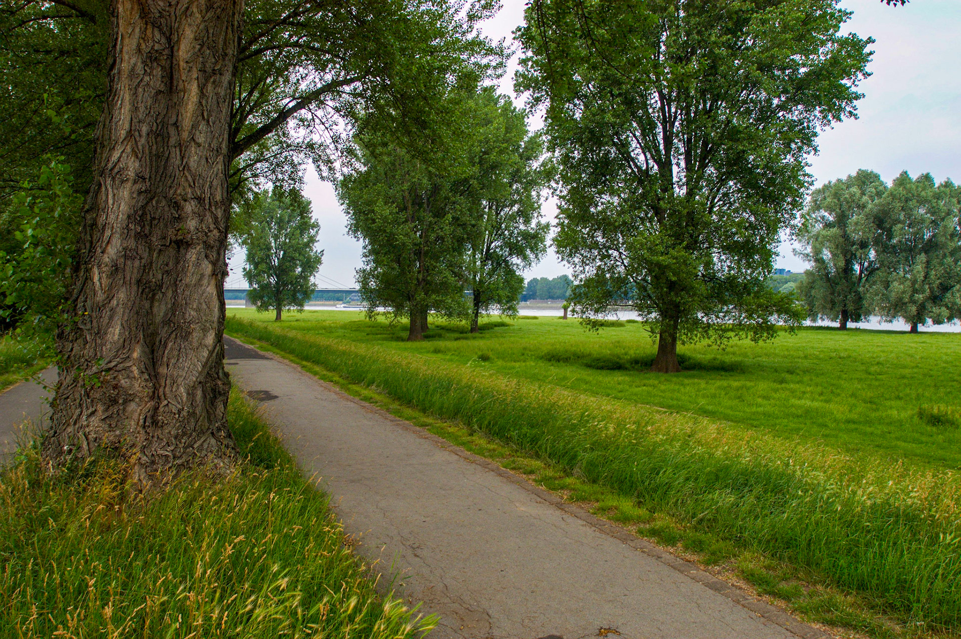 Düsseldorf