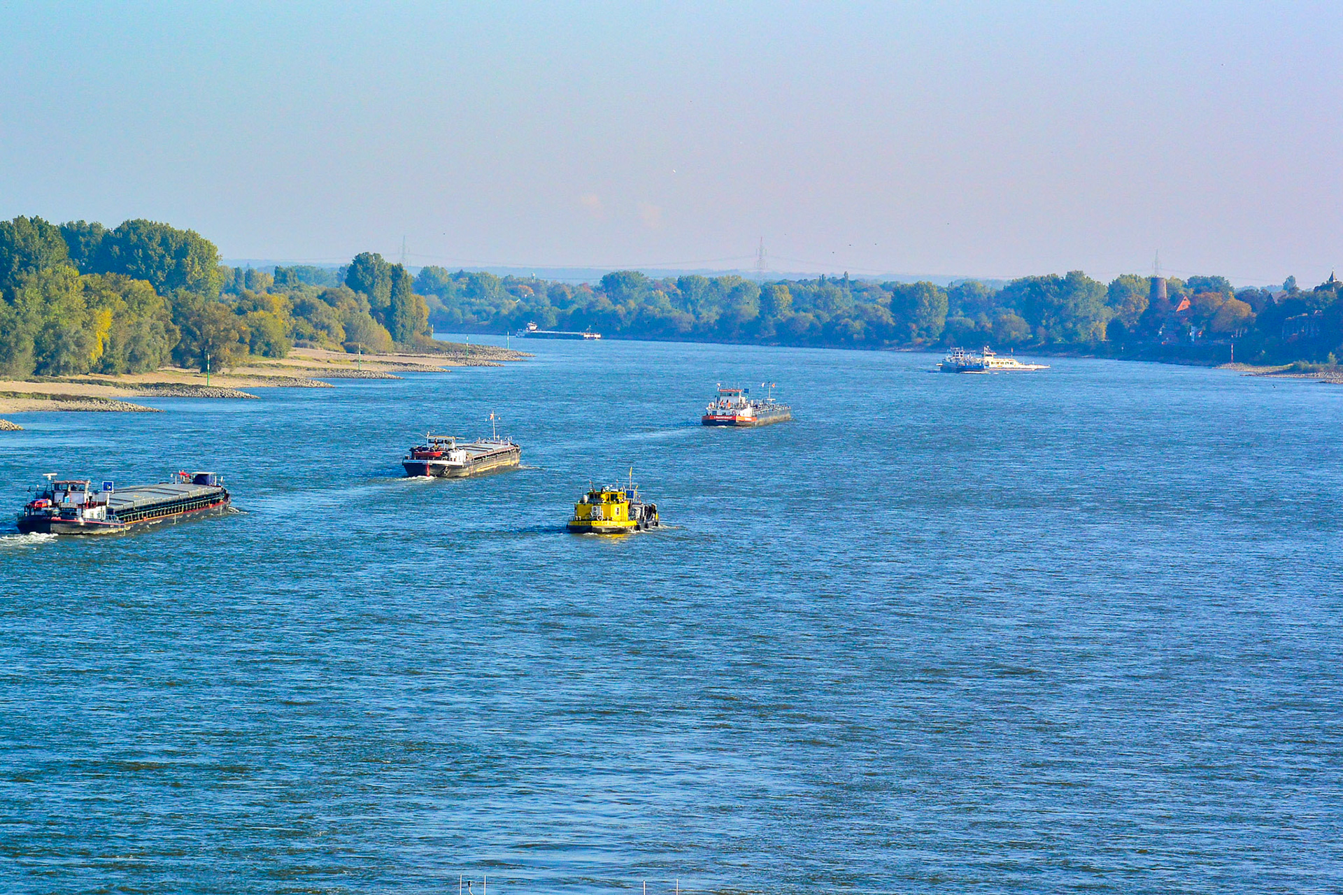 Rhein bei Langs-Kierst