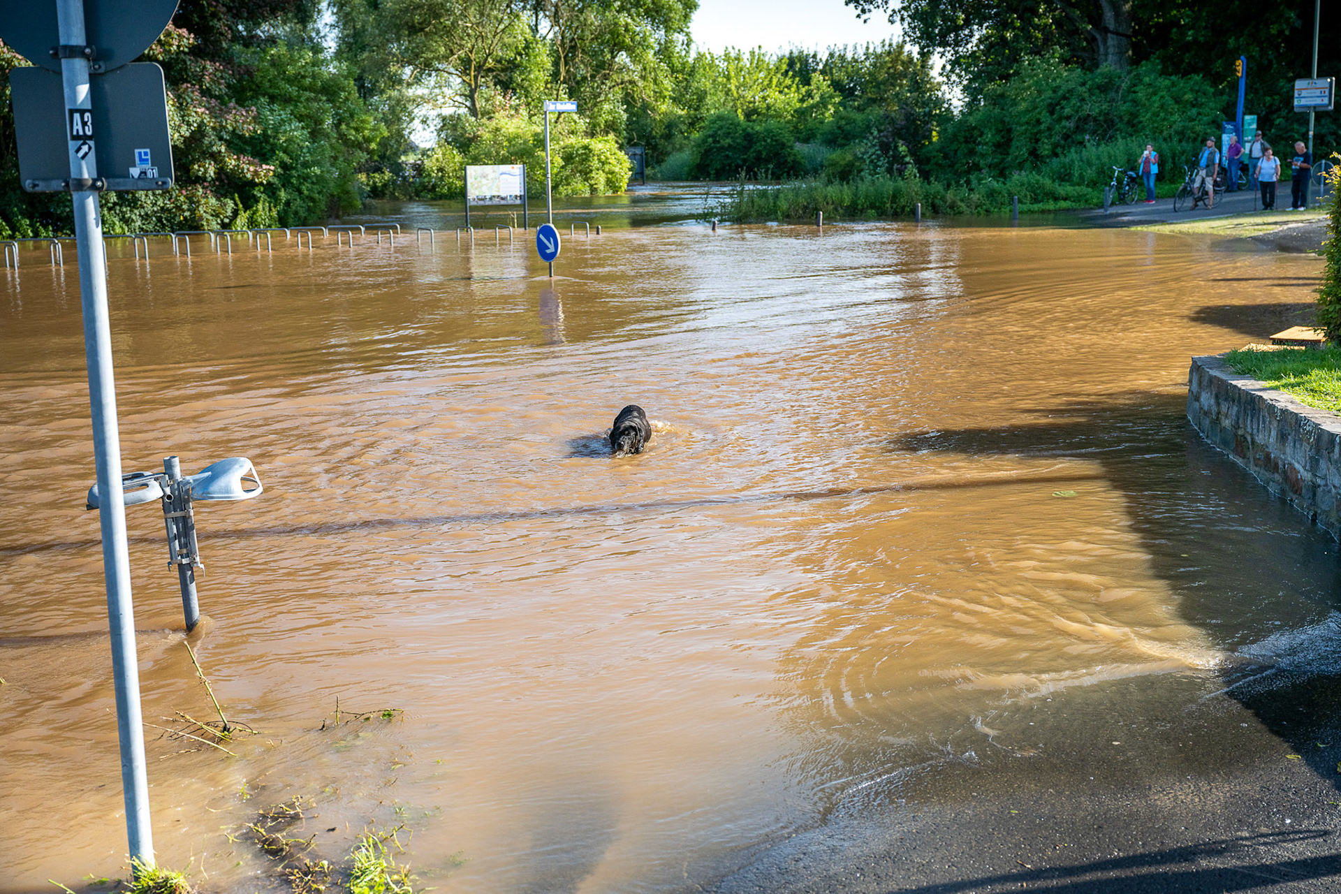 Rhein bei Langs-Kierst