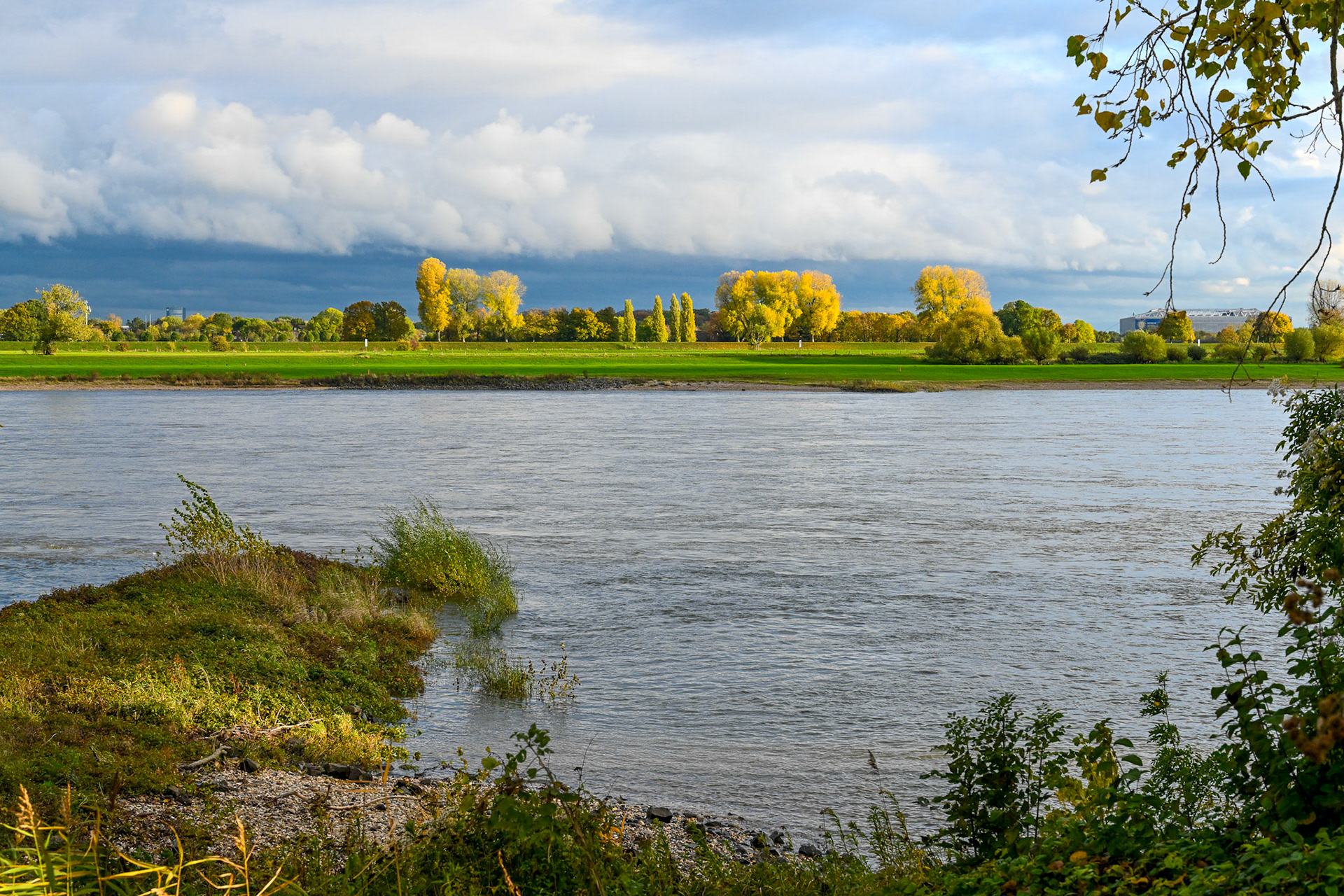 Rhein bei Langs-Kierst