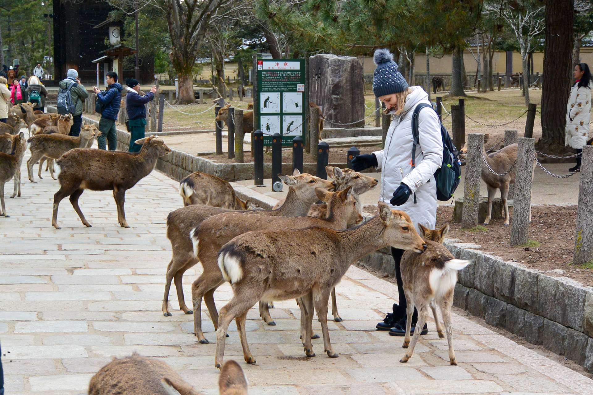 Japan