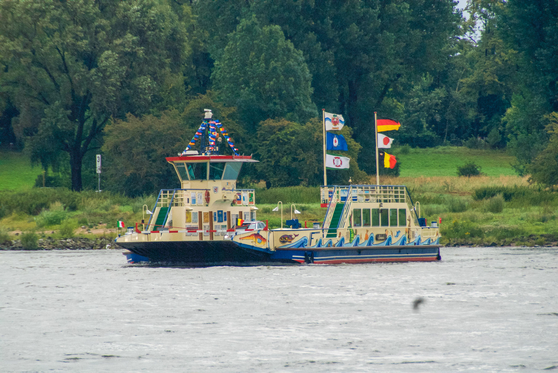 Rhein bei Langs-Kierst