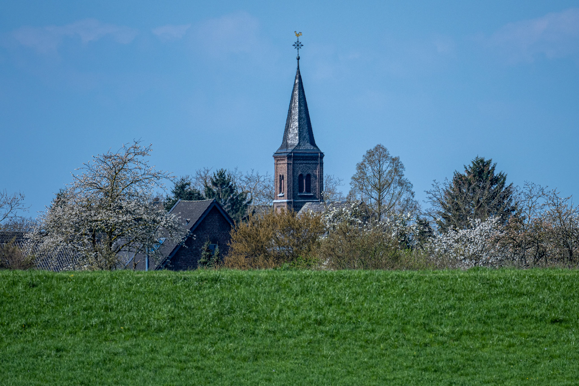 Rhein bei Langs-Kierst