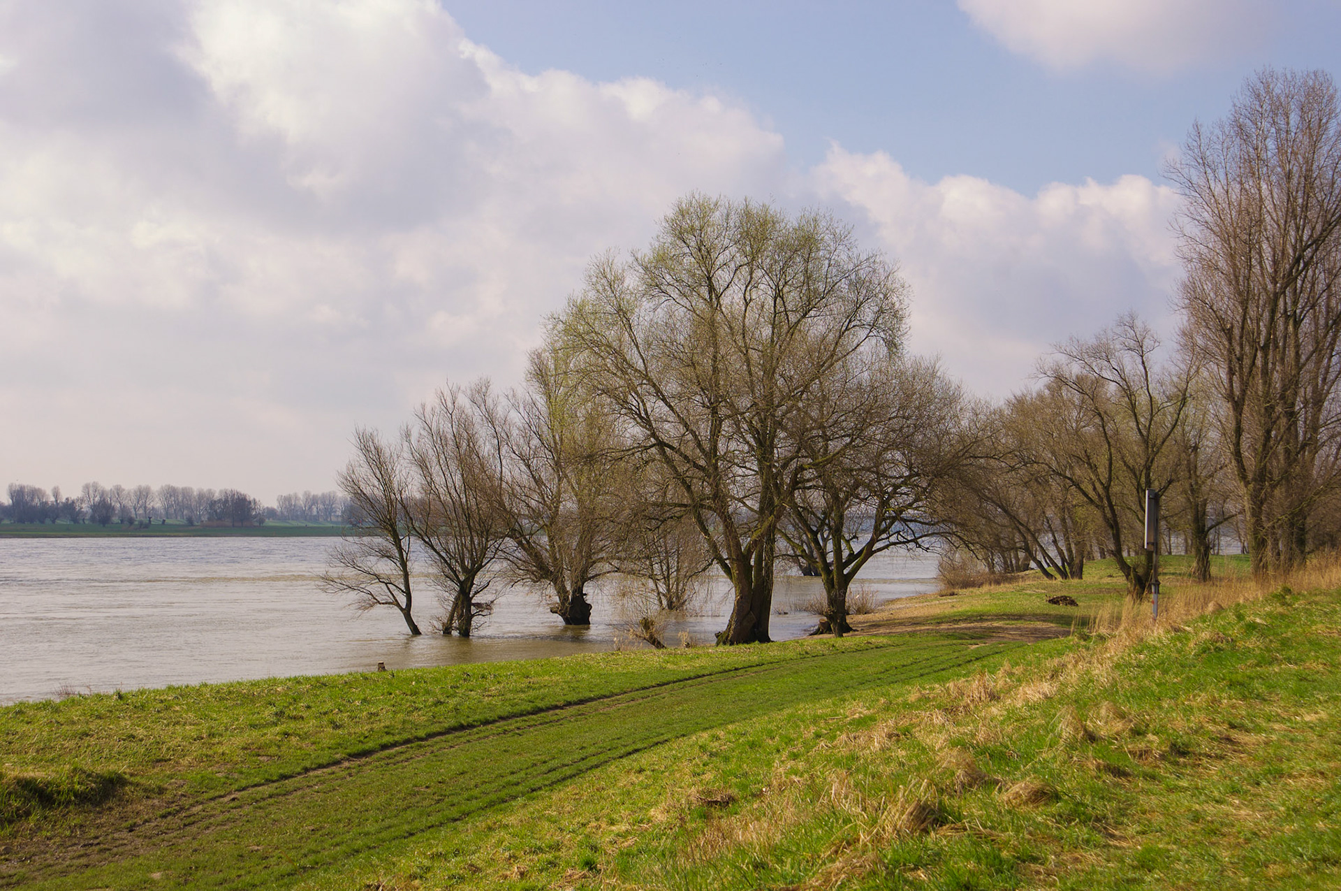 Rhein bei Langs-Kierst