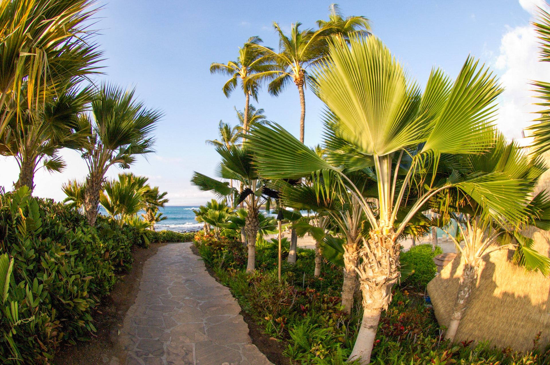 Hawaii