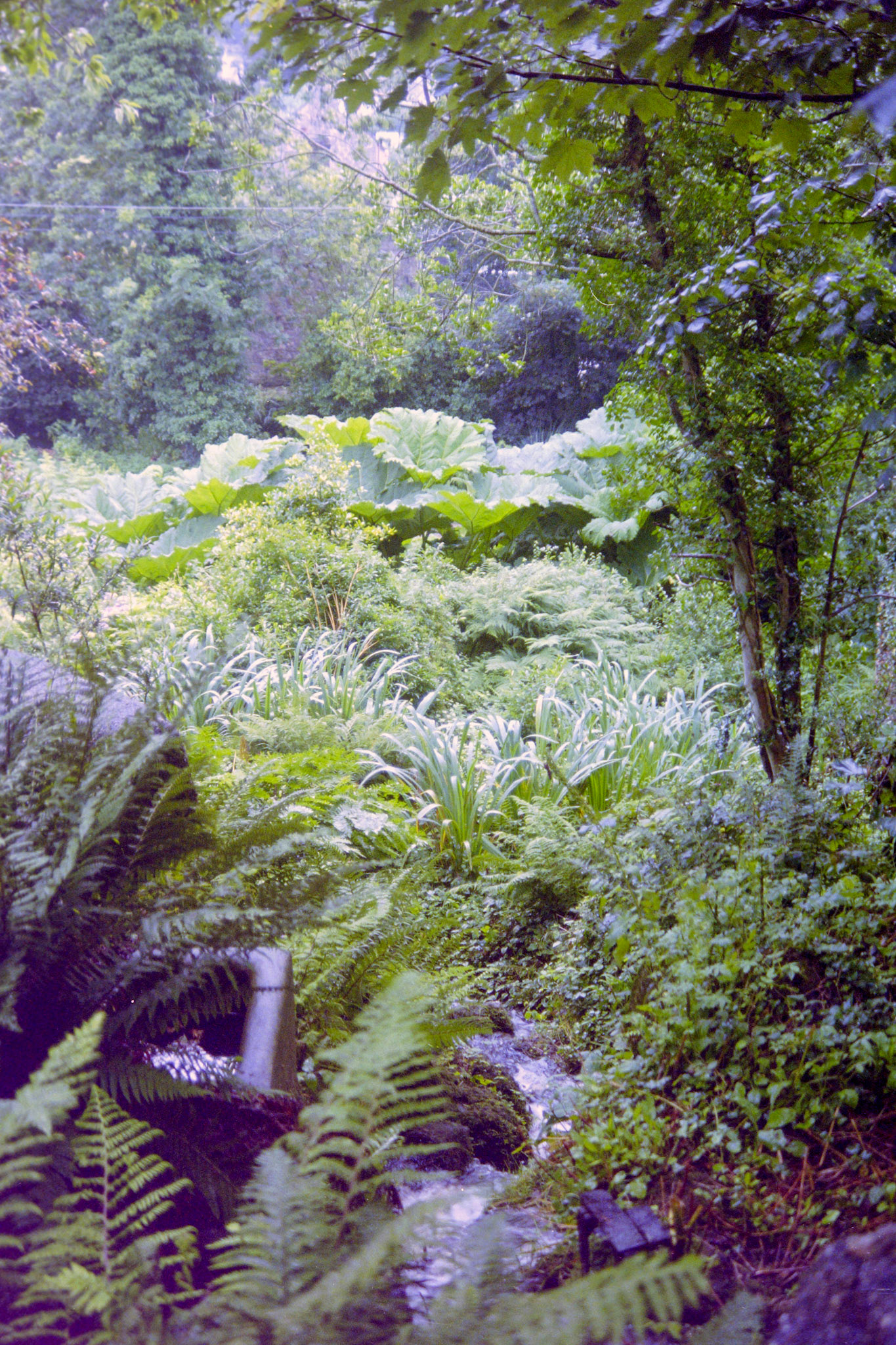 England