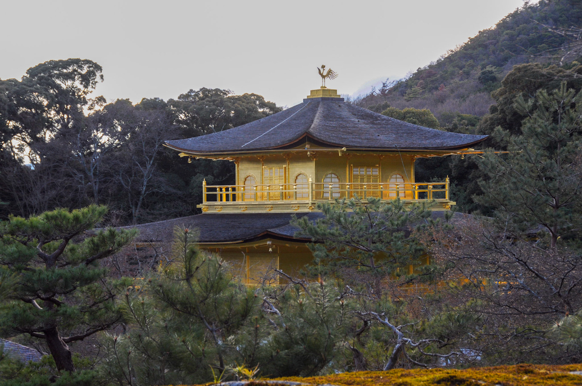 Japan