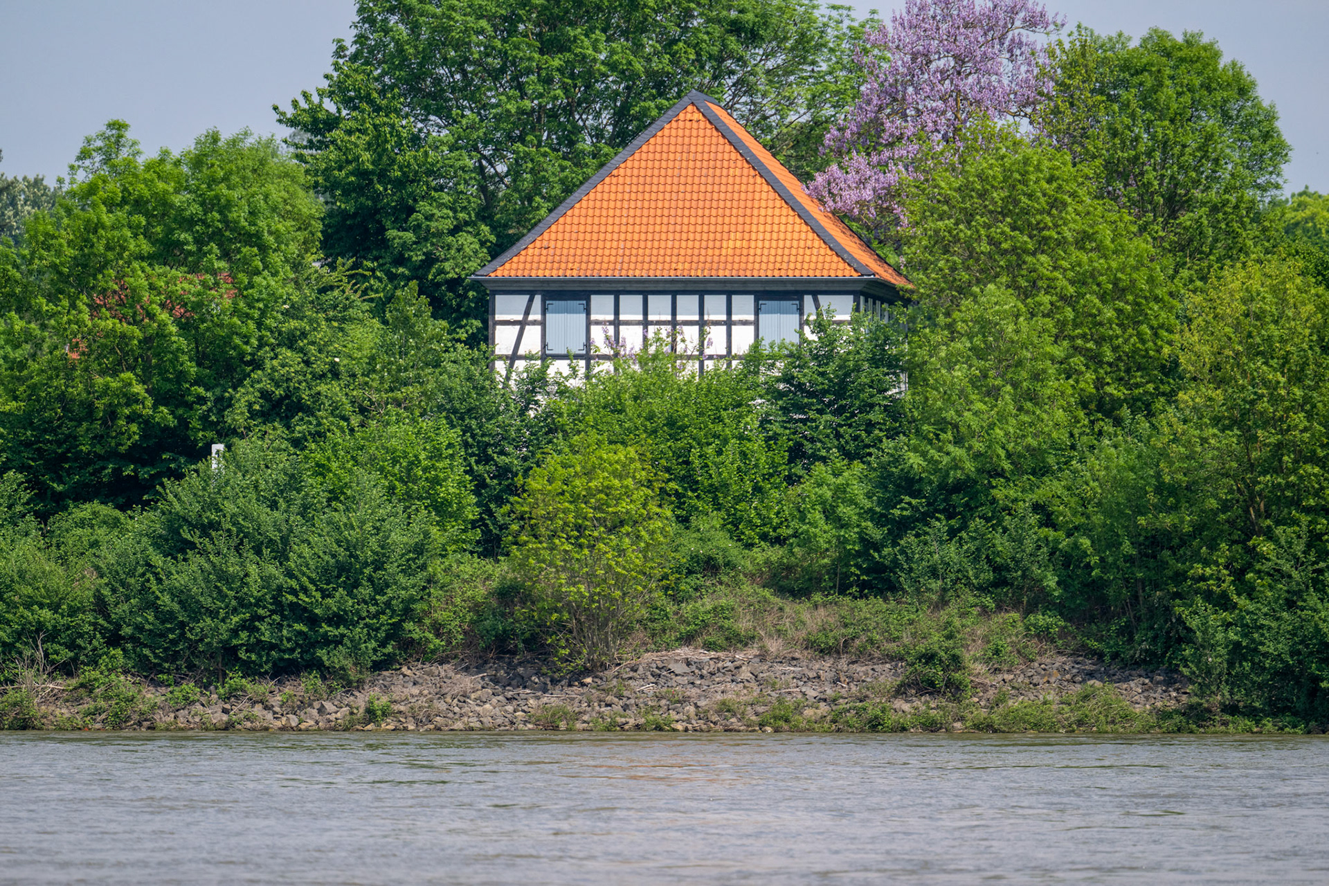 Rhein bei Langs-Kierst