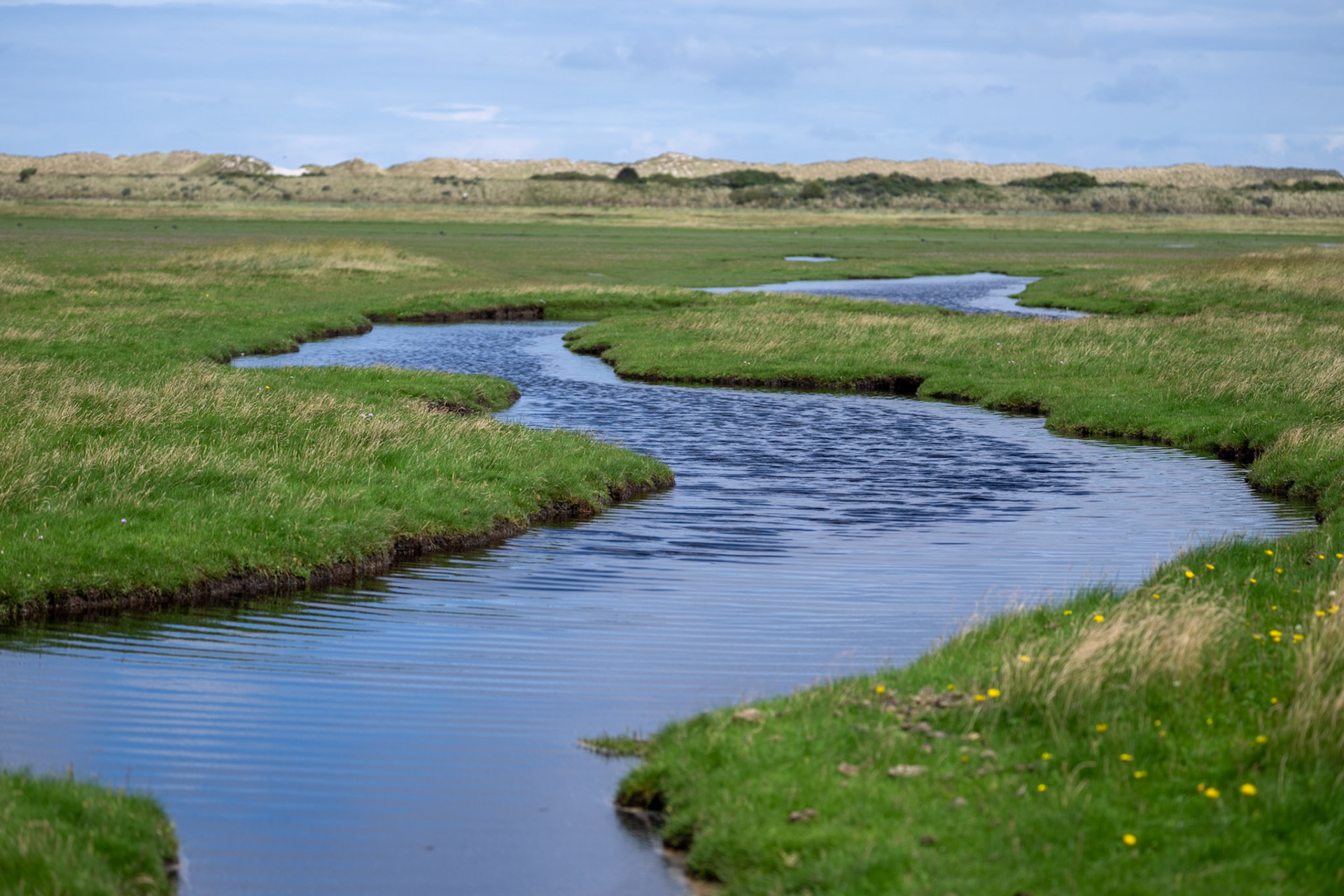 Ameland