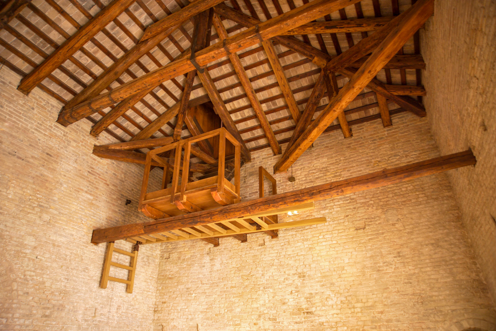 Private Fotos Familie Hoffmann und Freunde