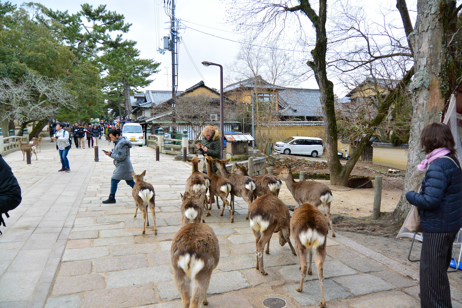 Japan