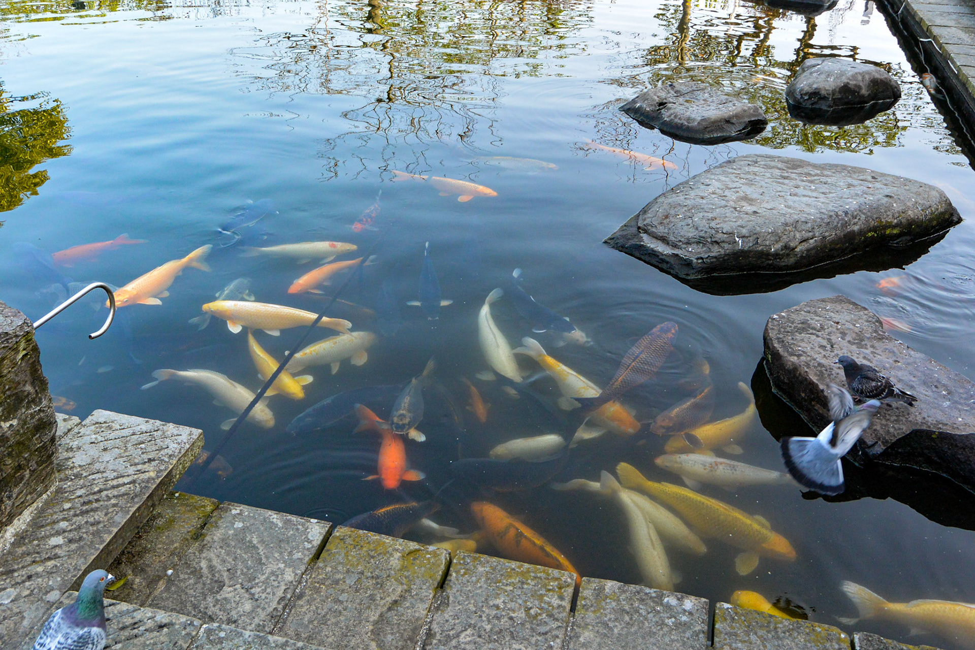 Japan