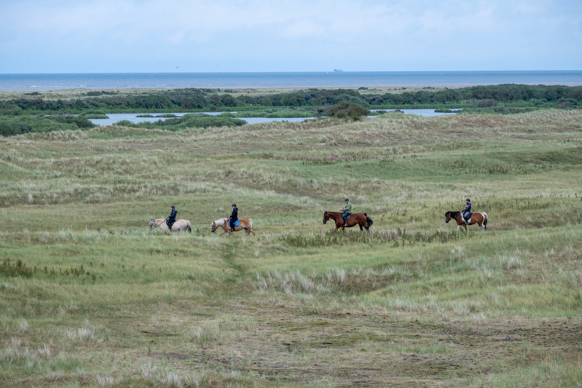 Ameland