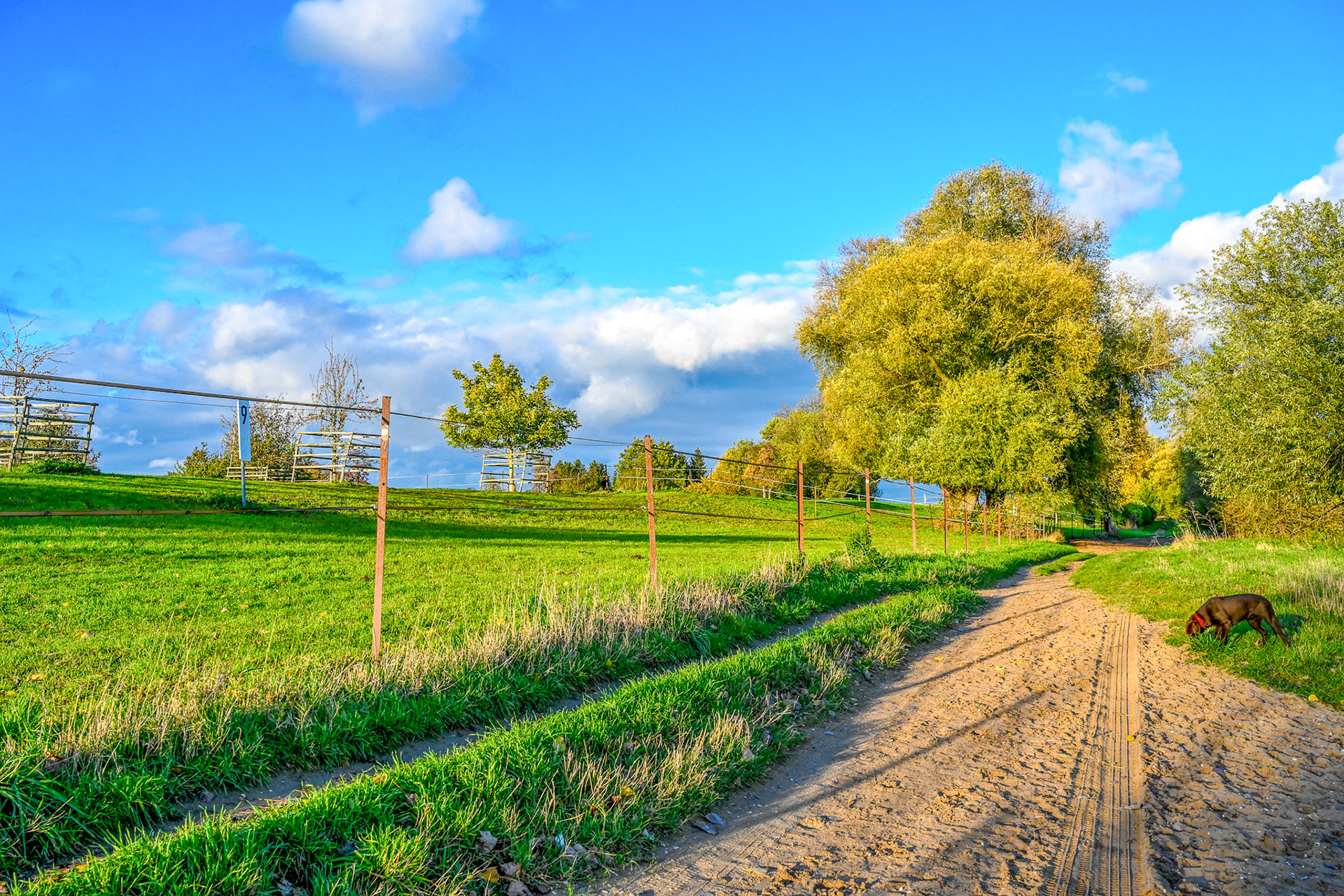 Rhein bei Langs-Kierst