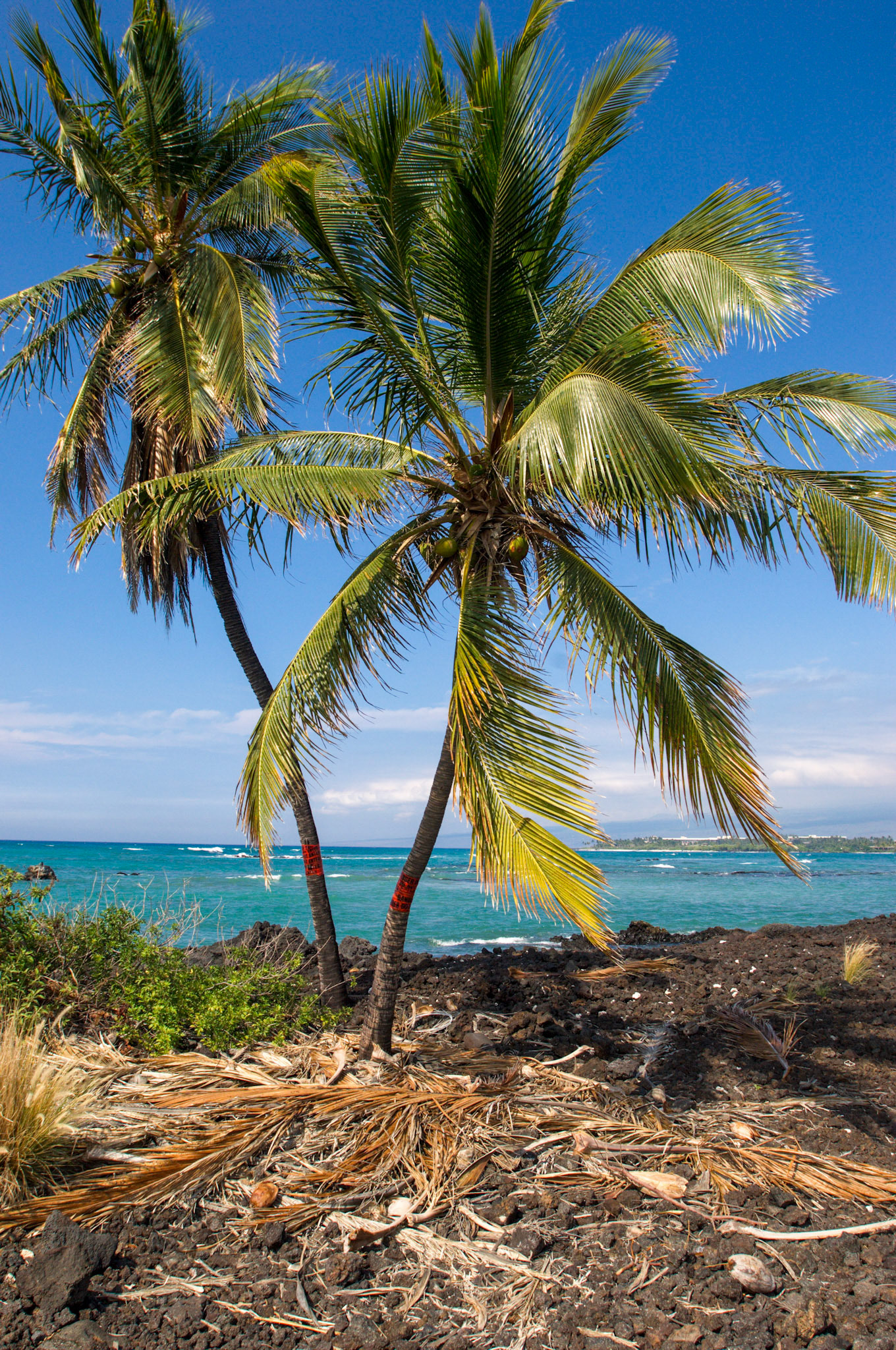 Hawaii