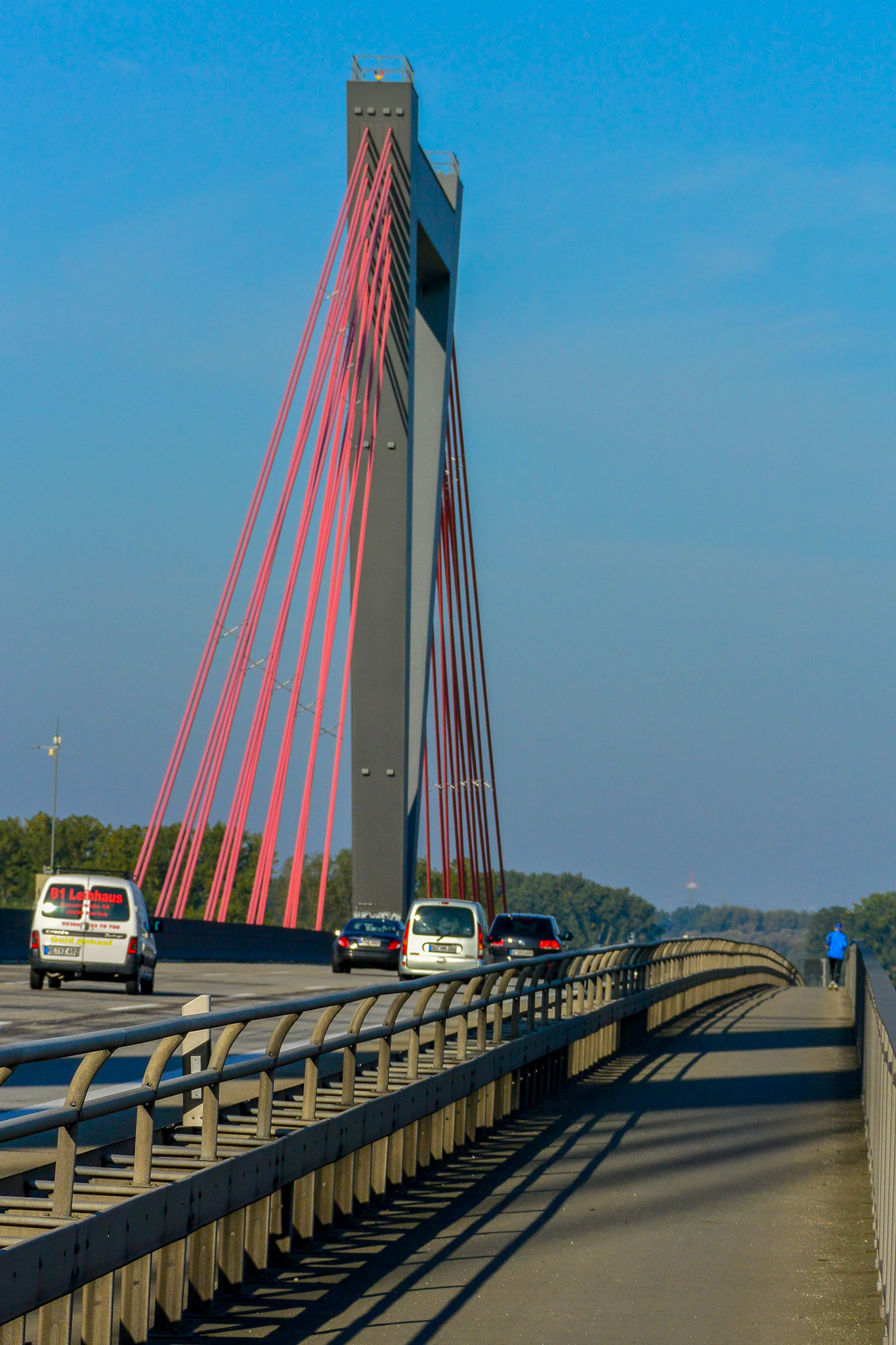Rhein bei Langs-Kierst