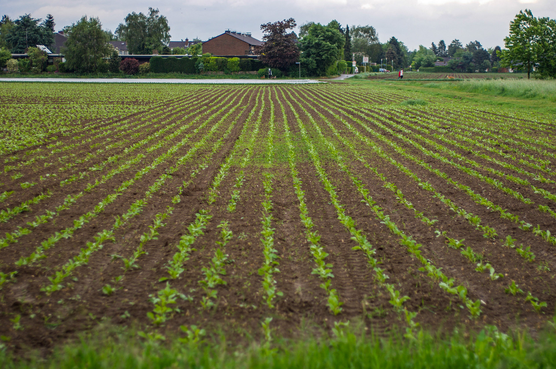 Meerbusch-Osterath
