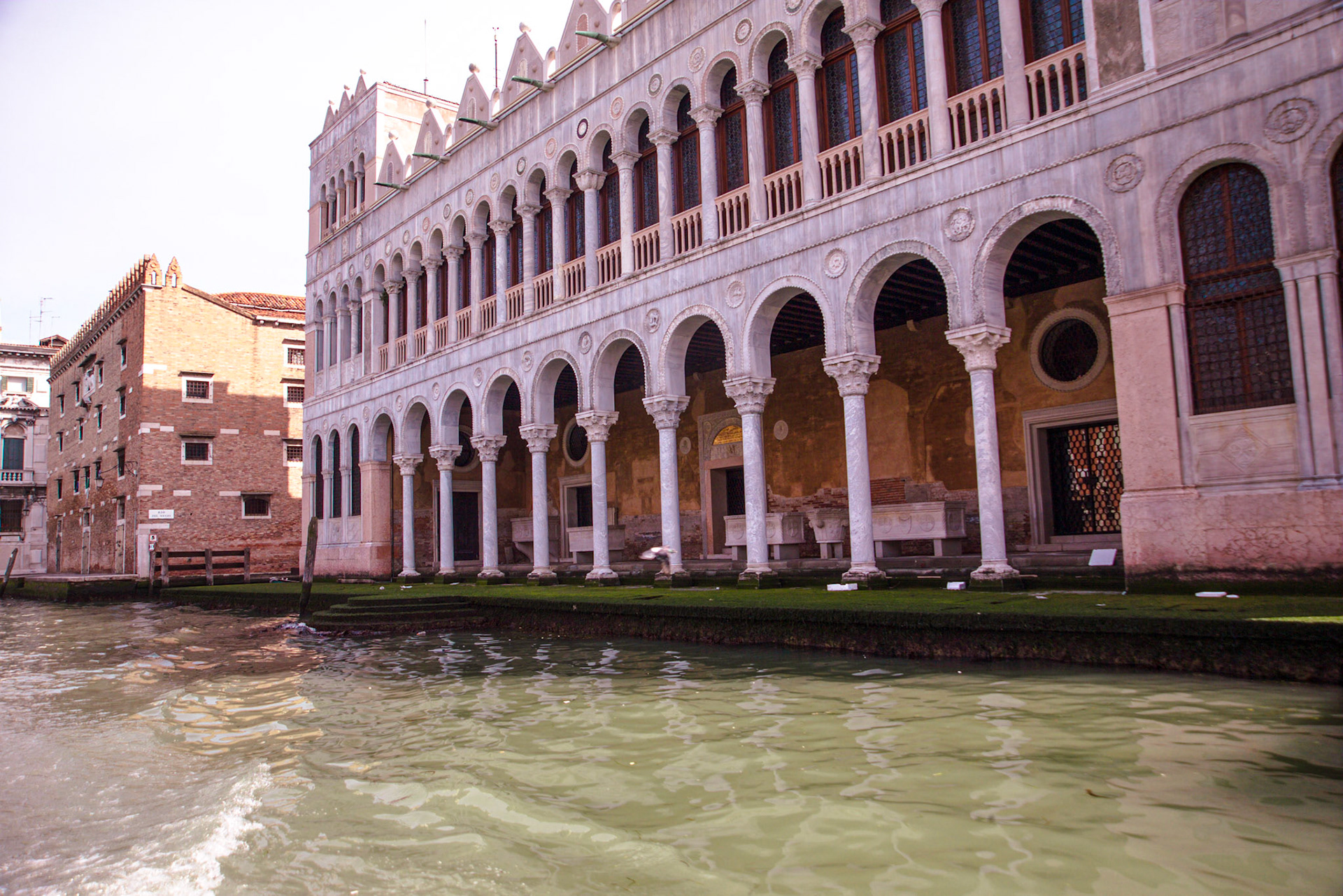 Private Fotos Familie Hoffmann und Freunde