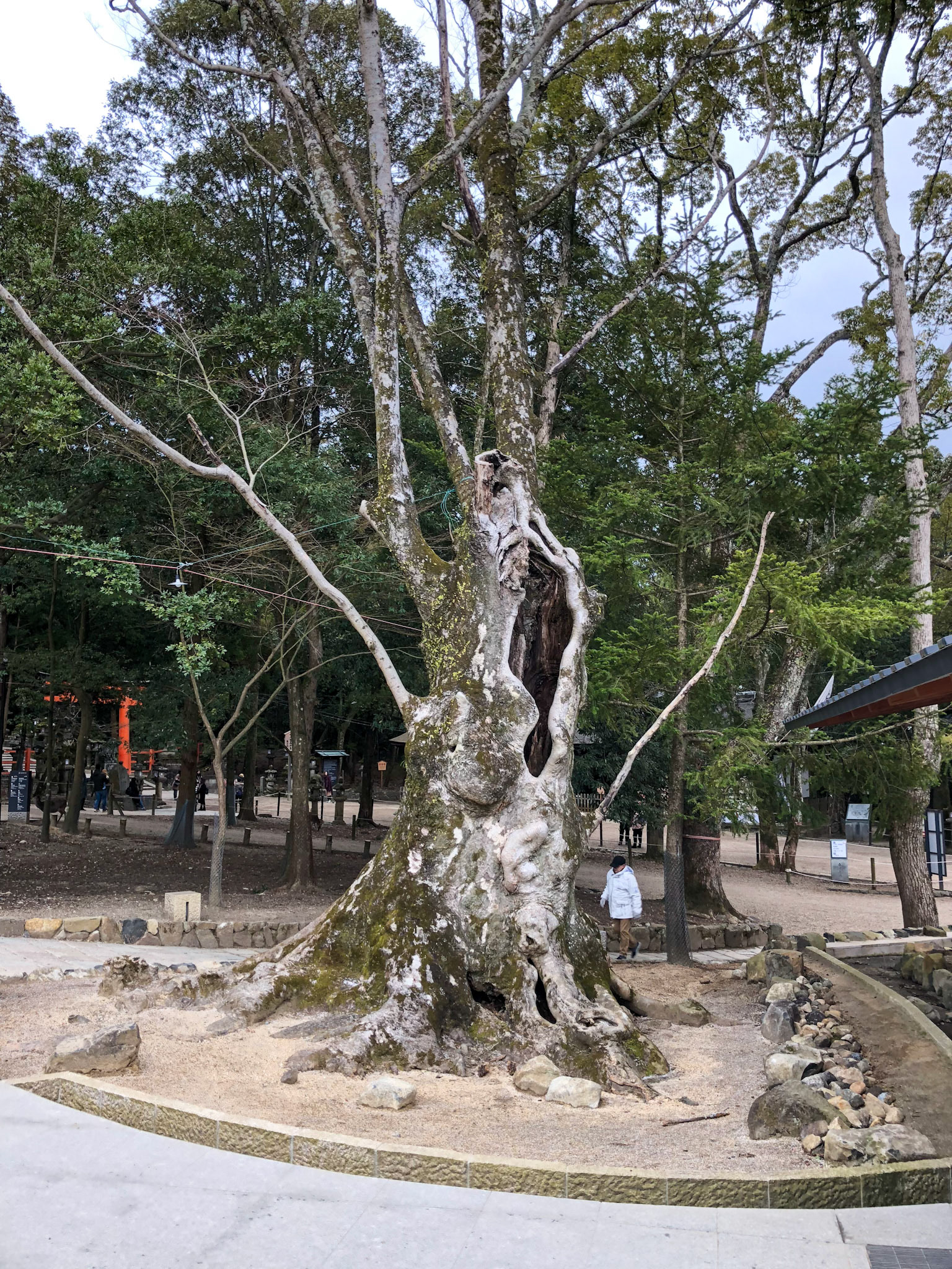 Japan