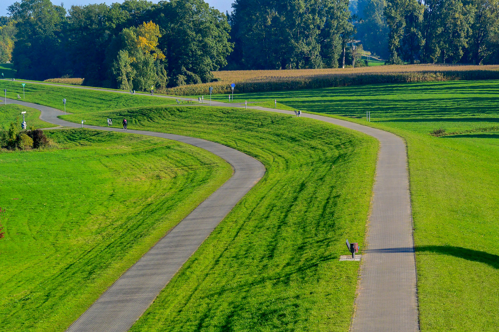 Rhein bei Langs-Kierst