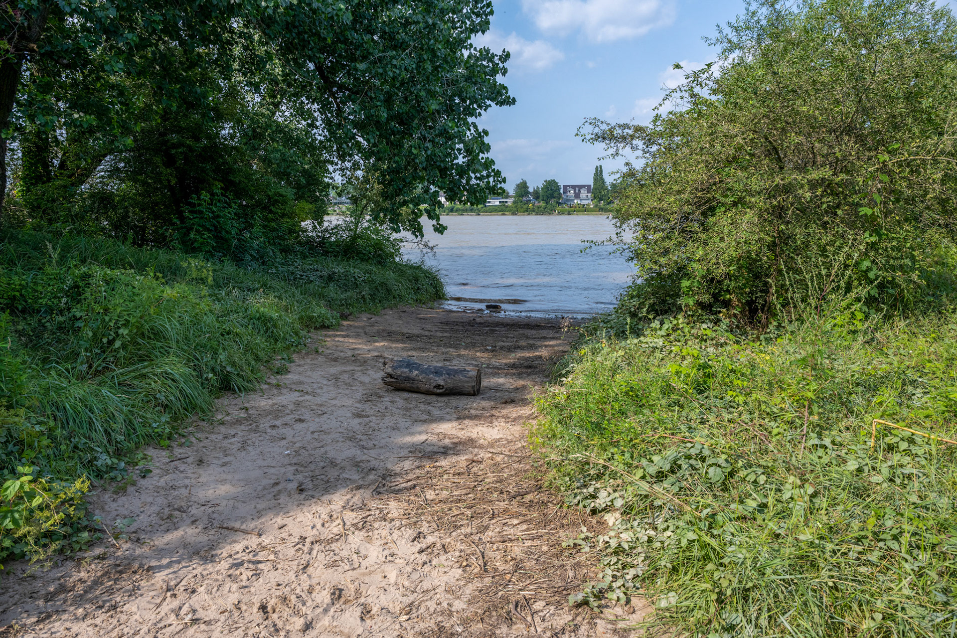 Rhein bei Langs-Kierst