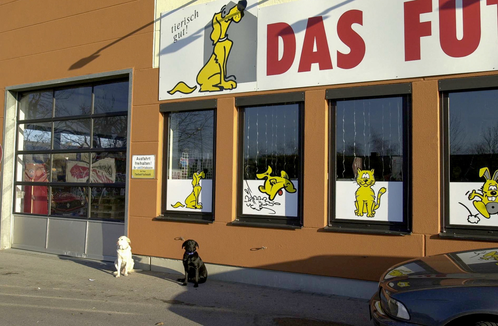 Hunde