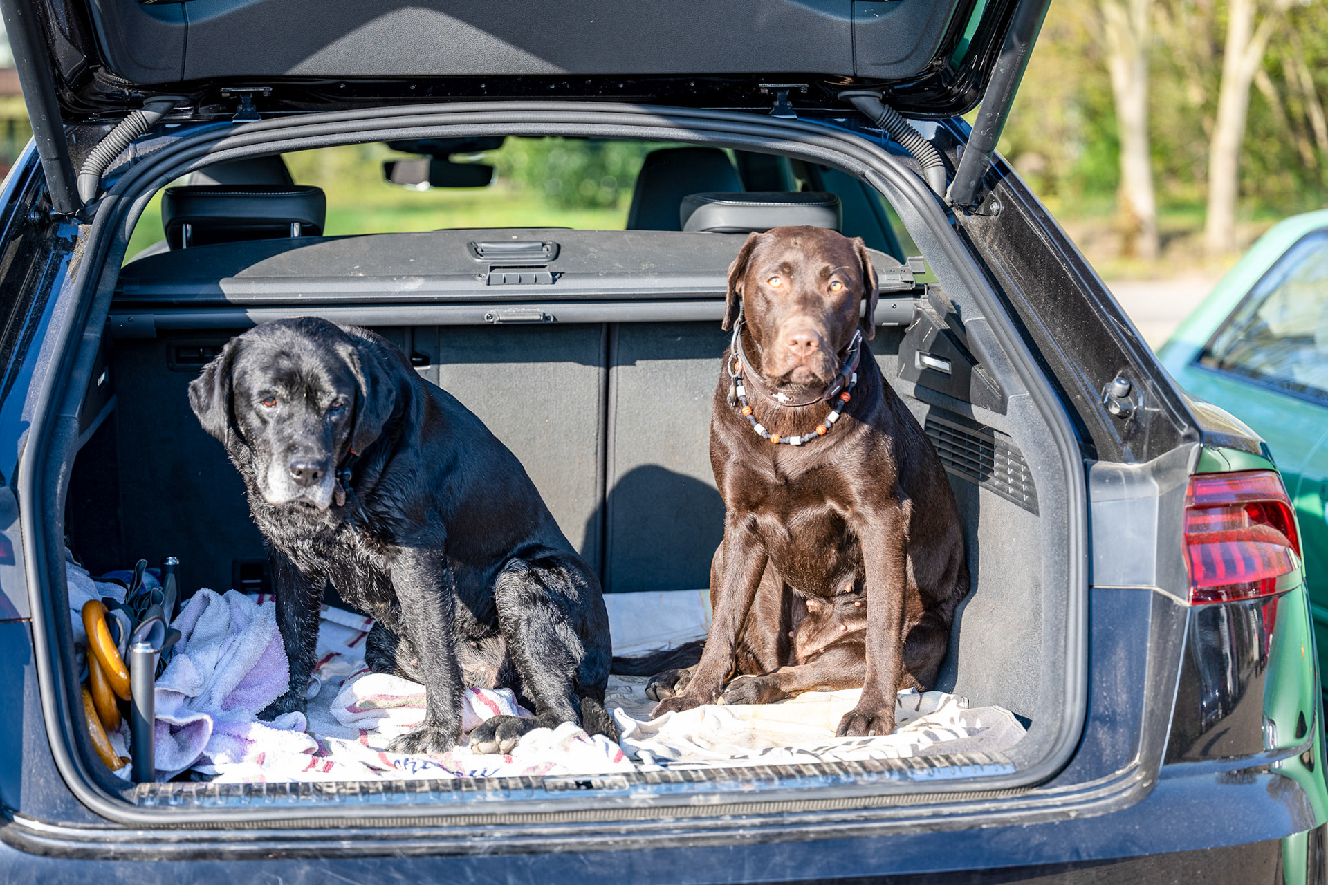 Rhein bei Langs-Kierst