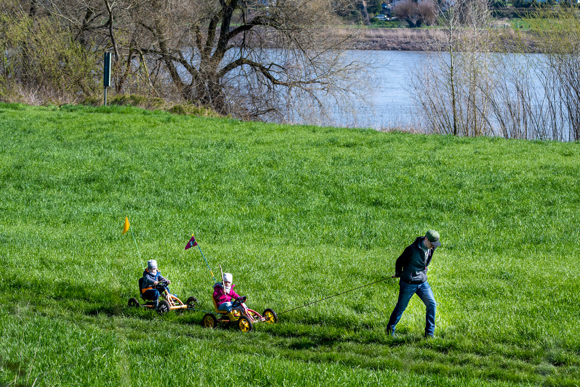 Rhein bei Langs-Kierst
