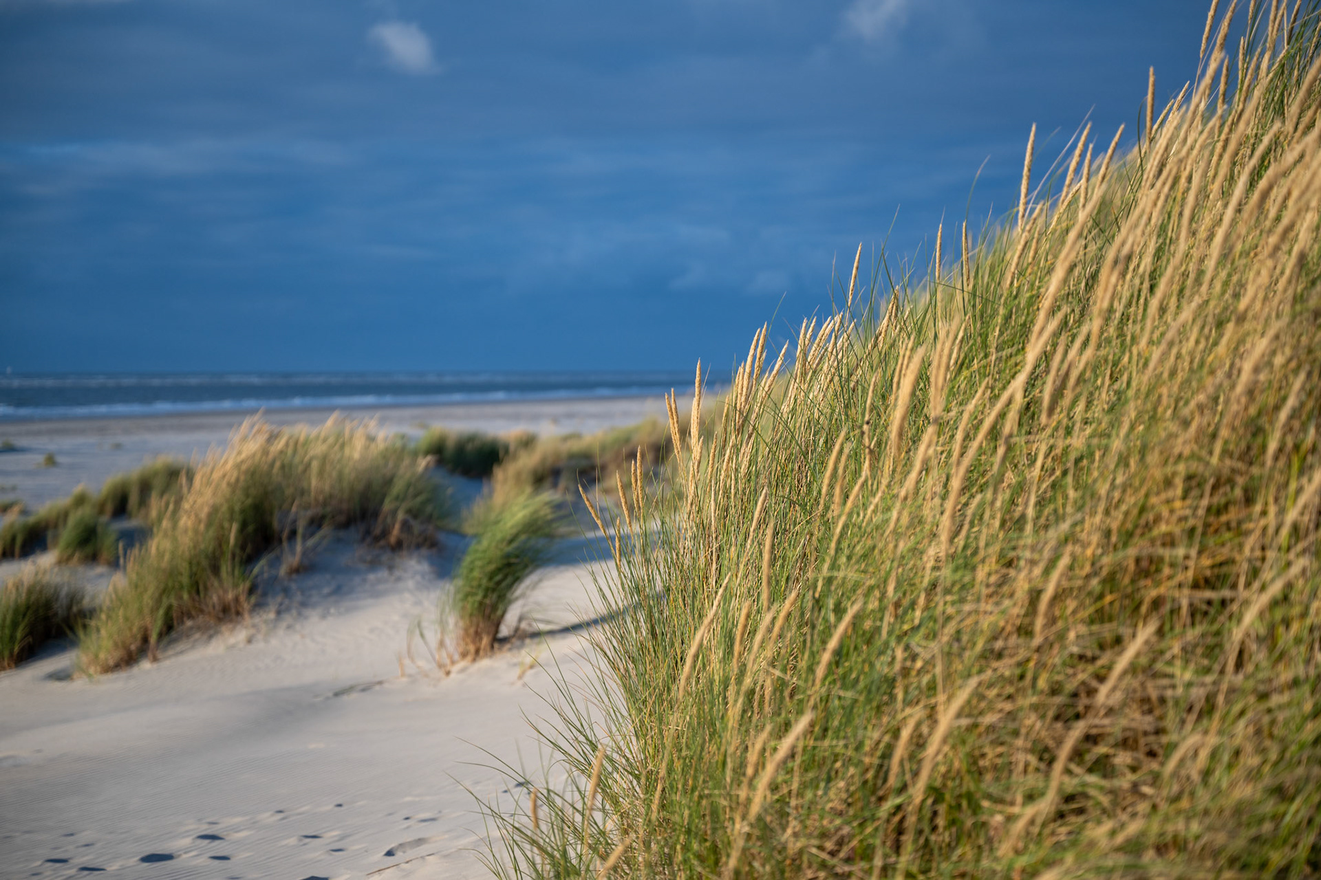 Ameland