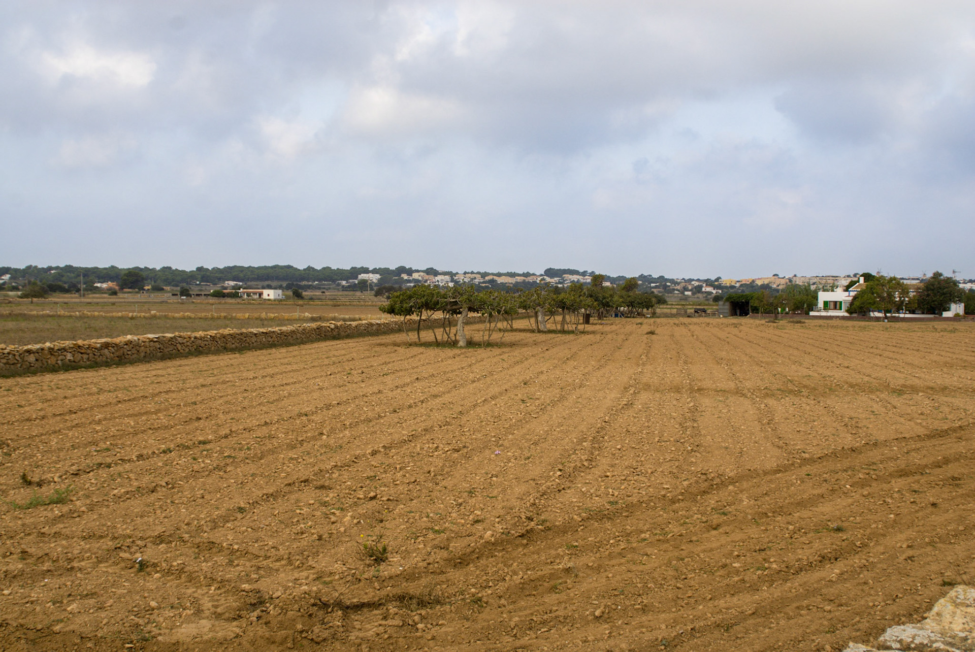 Formenterra