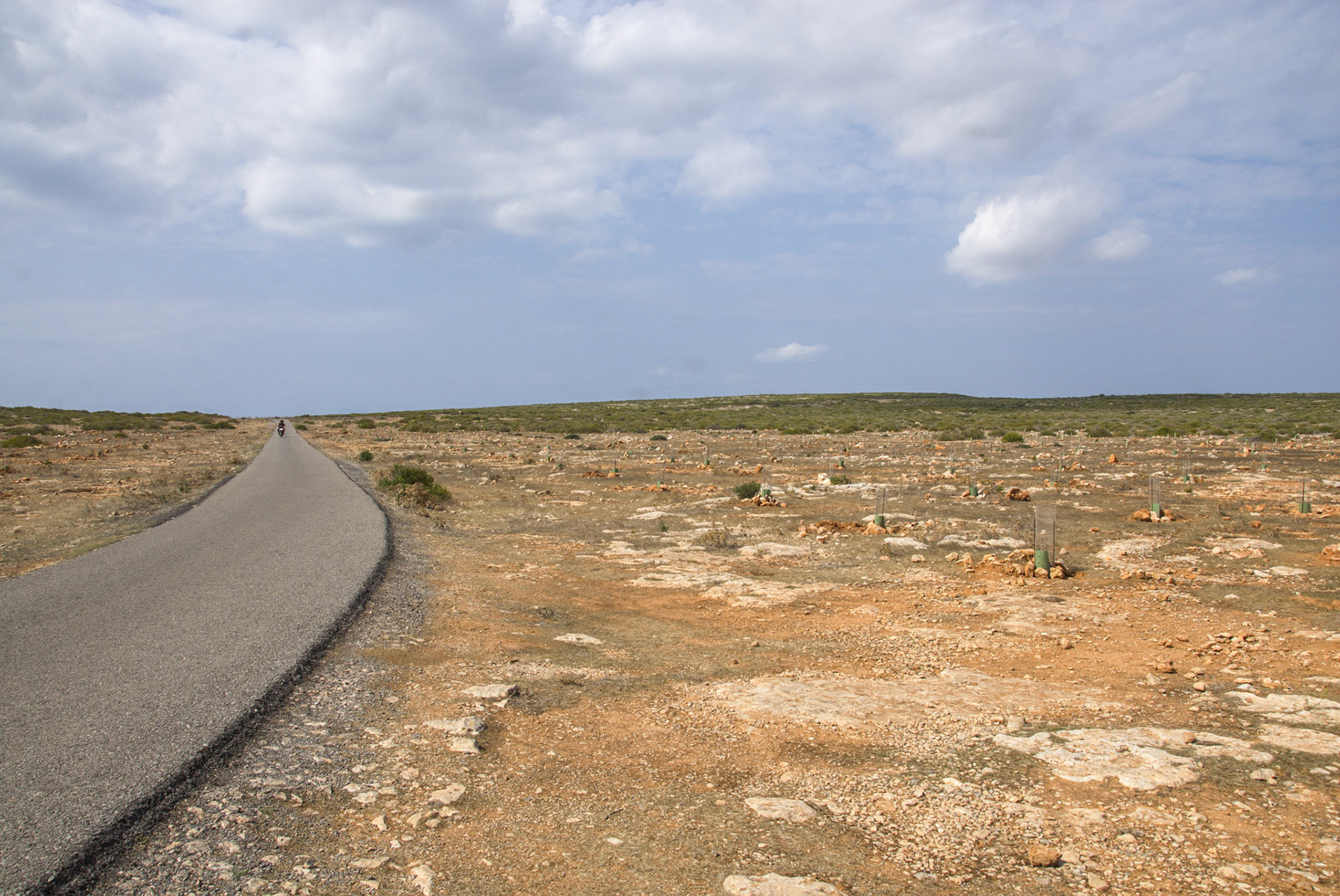 Formenterra