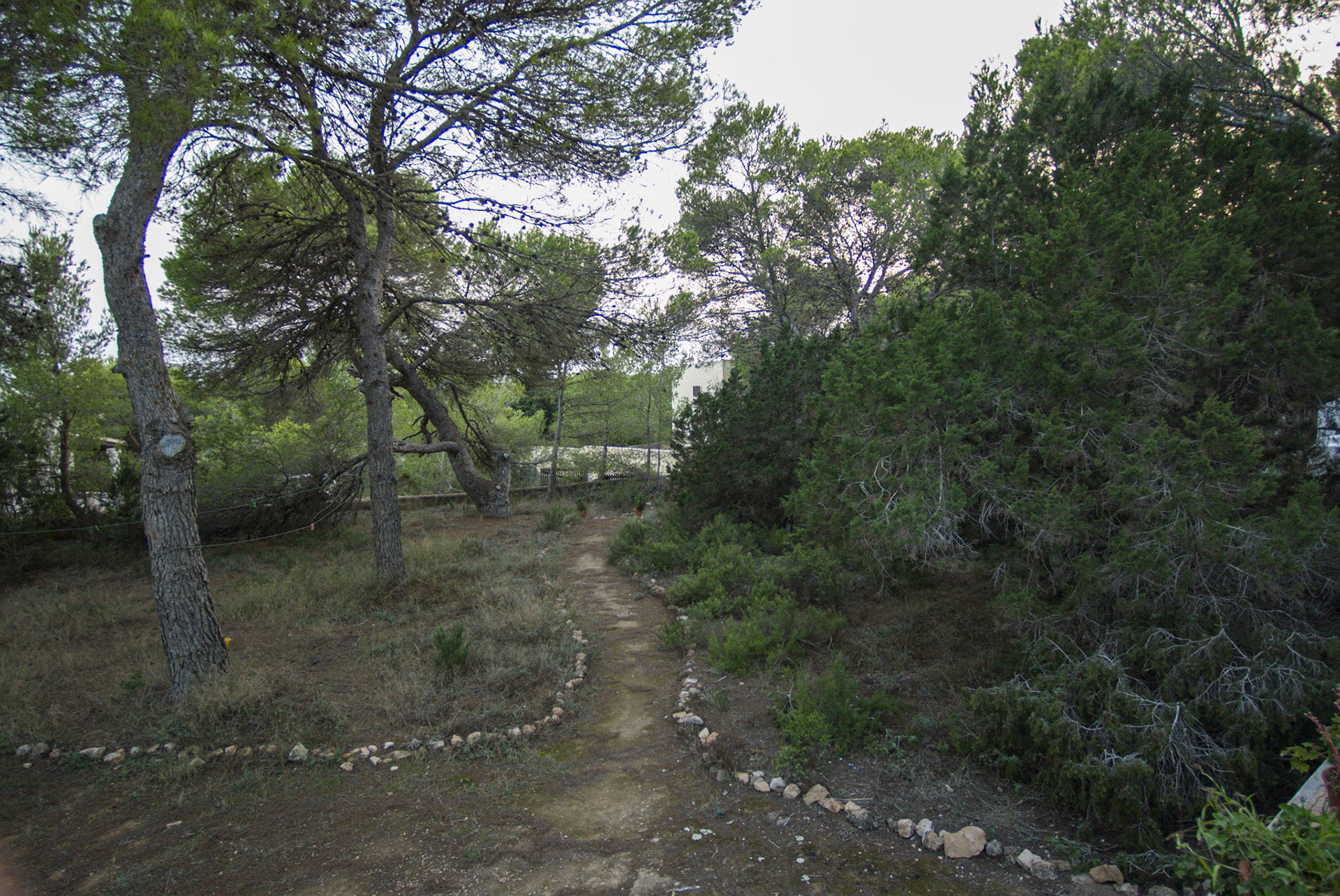 Formenterra