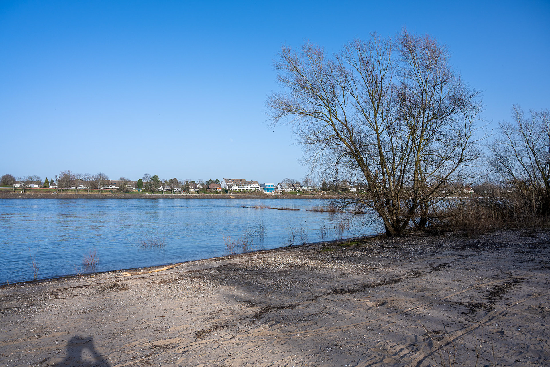 Rhein bei Langs-Kierst