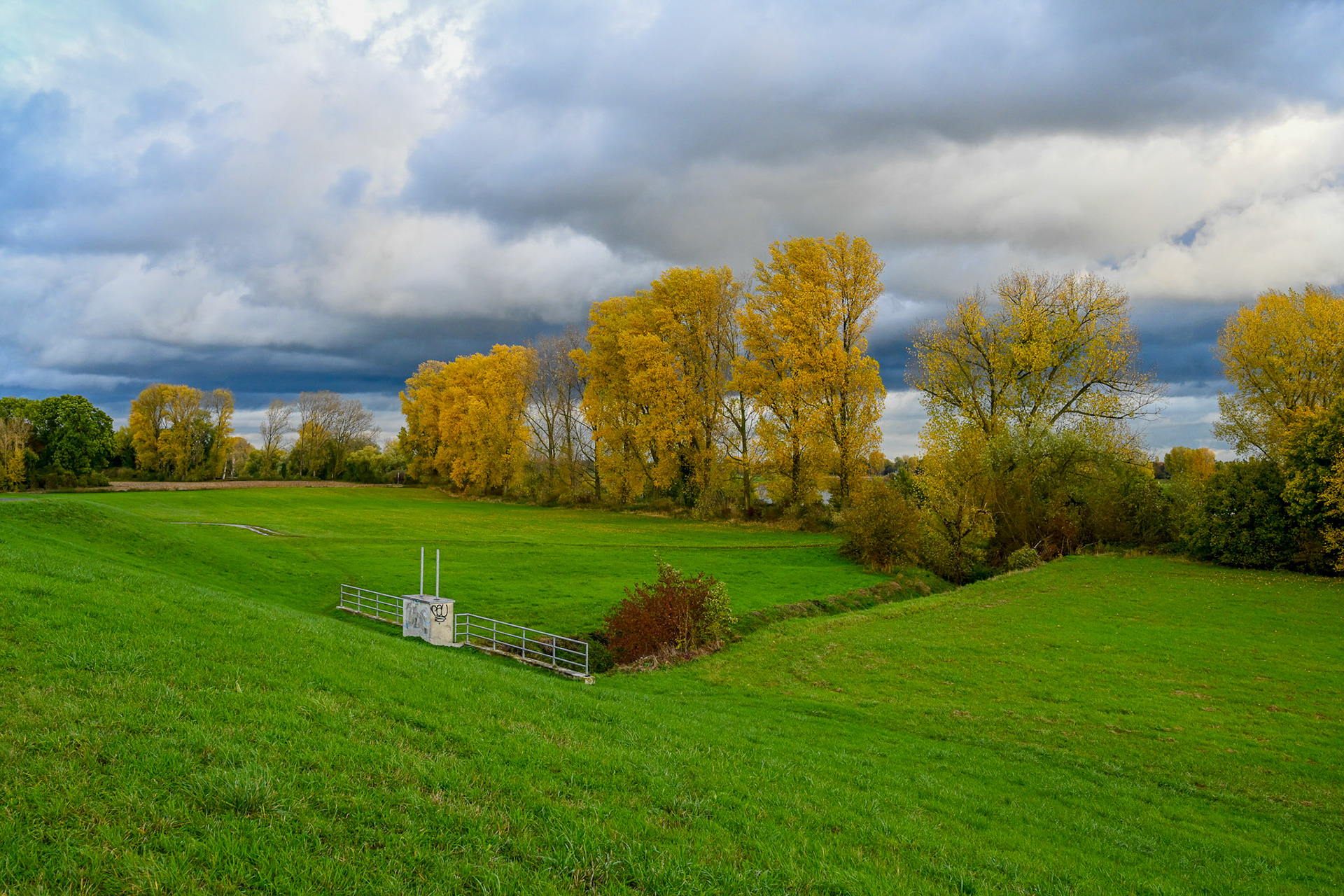 Rhein bei Langs-Kierst