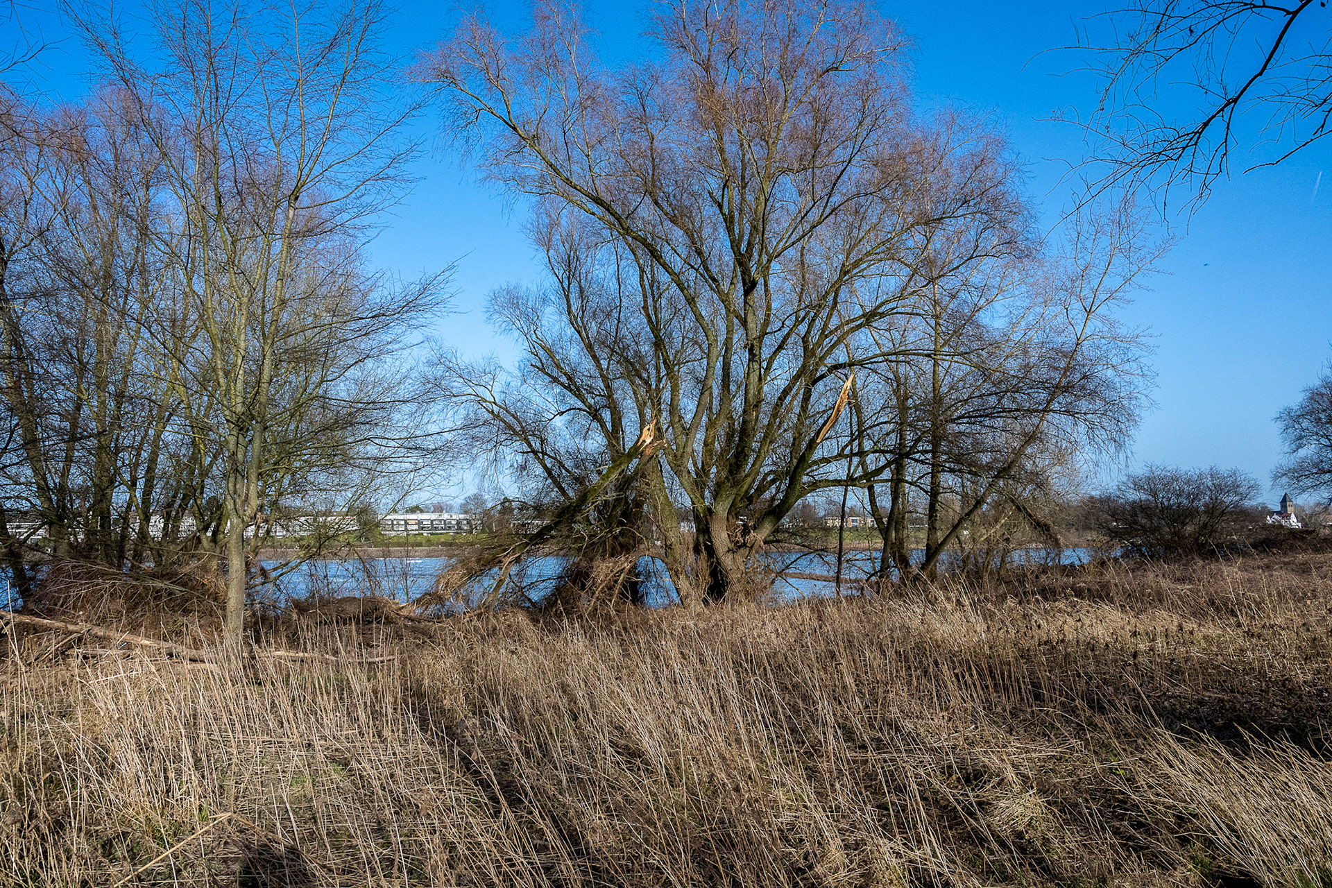 Rhein bei Langs-Kierst