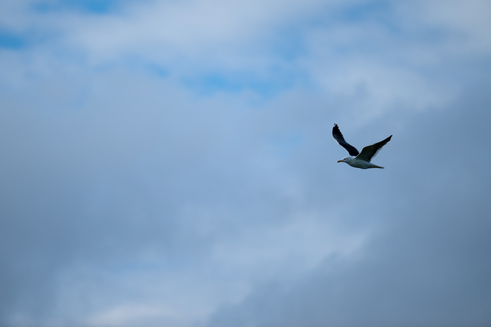 Ameland