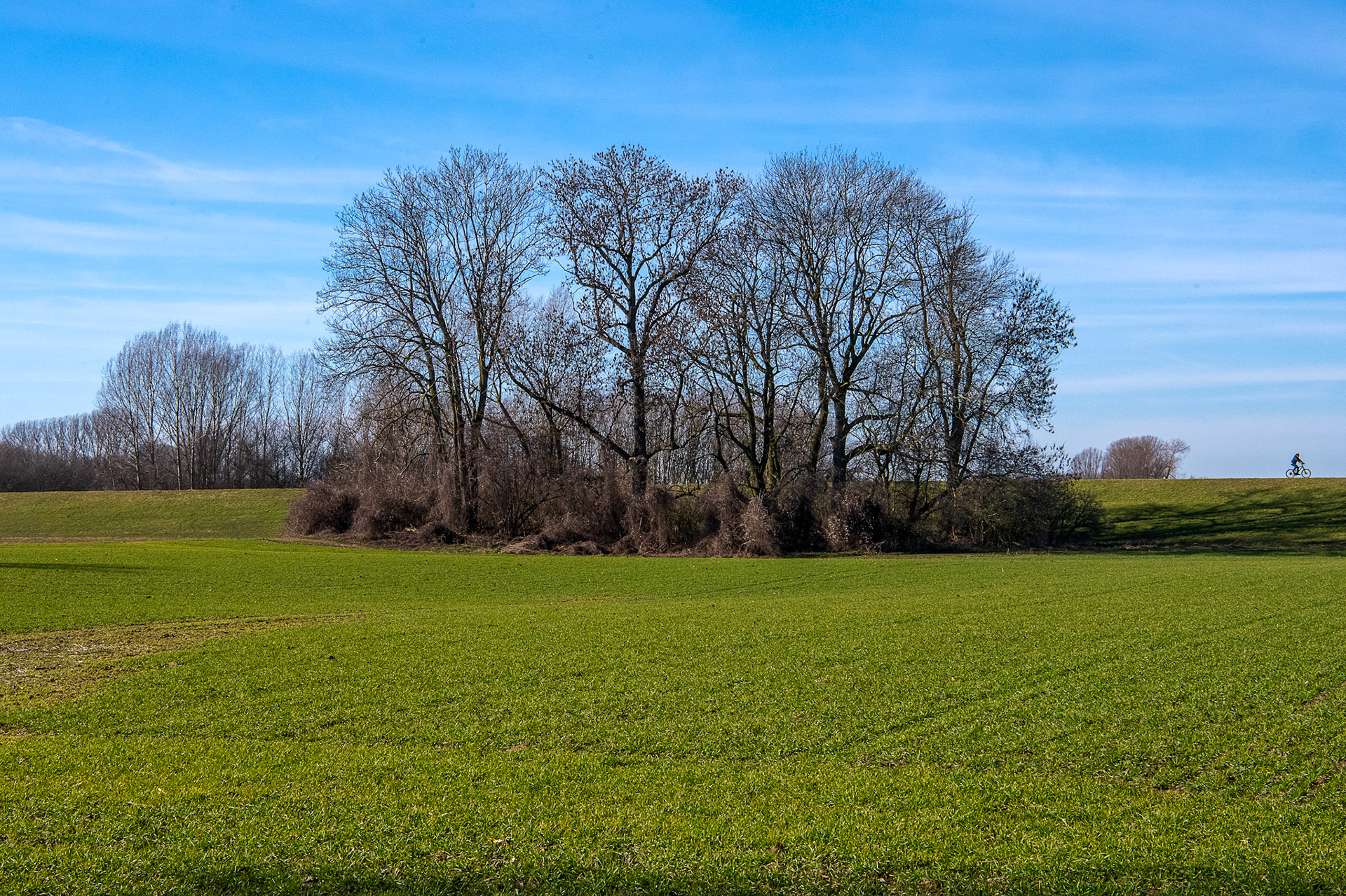 Rhein bei Langs-Kierst
