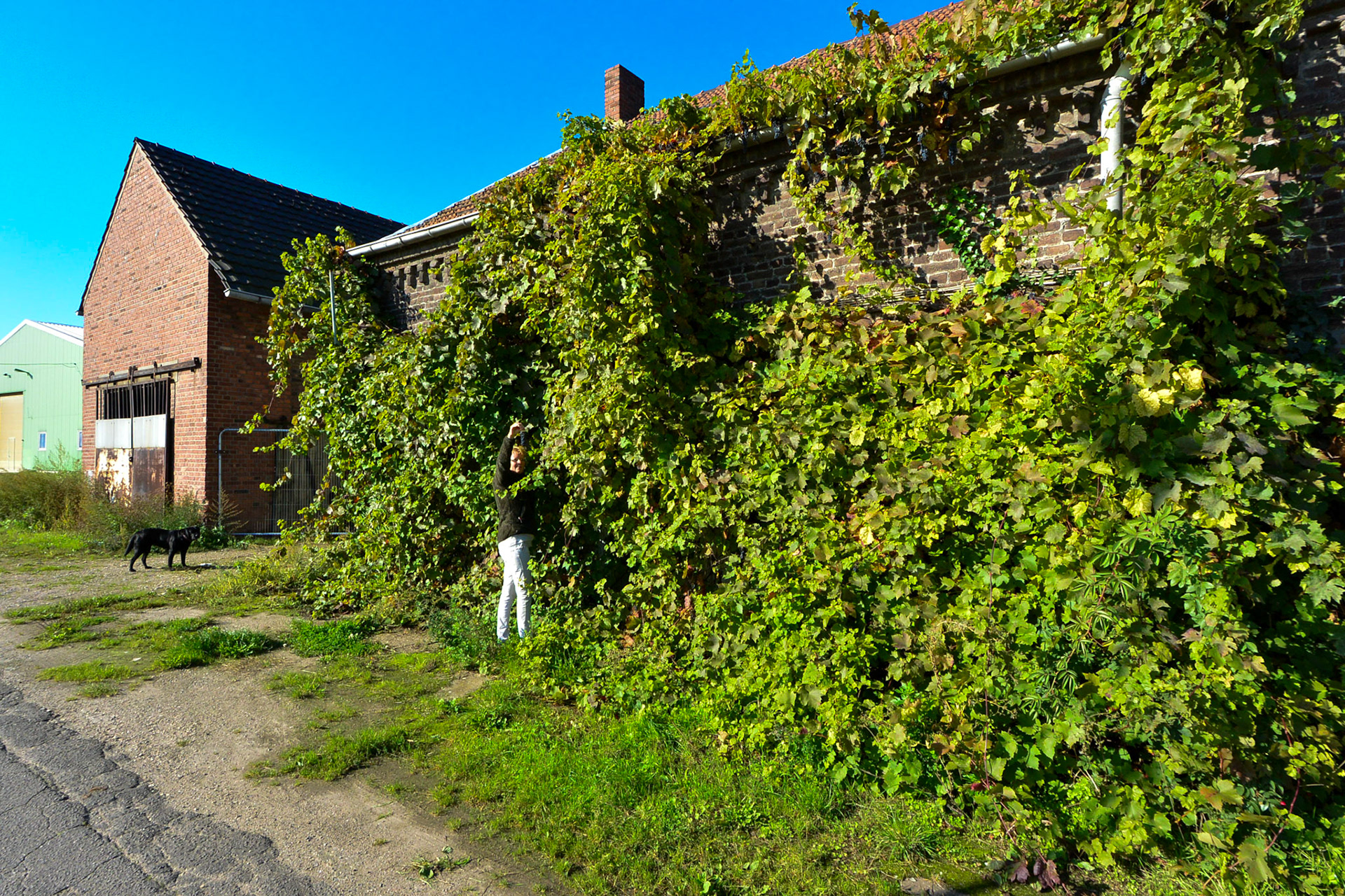 Meerbusch-Osterath