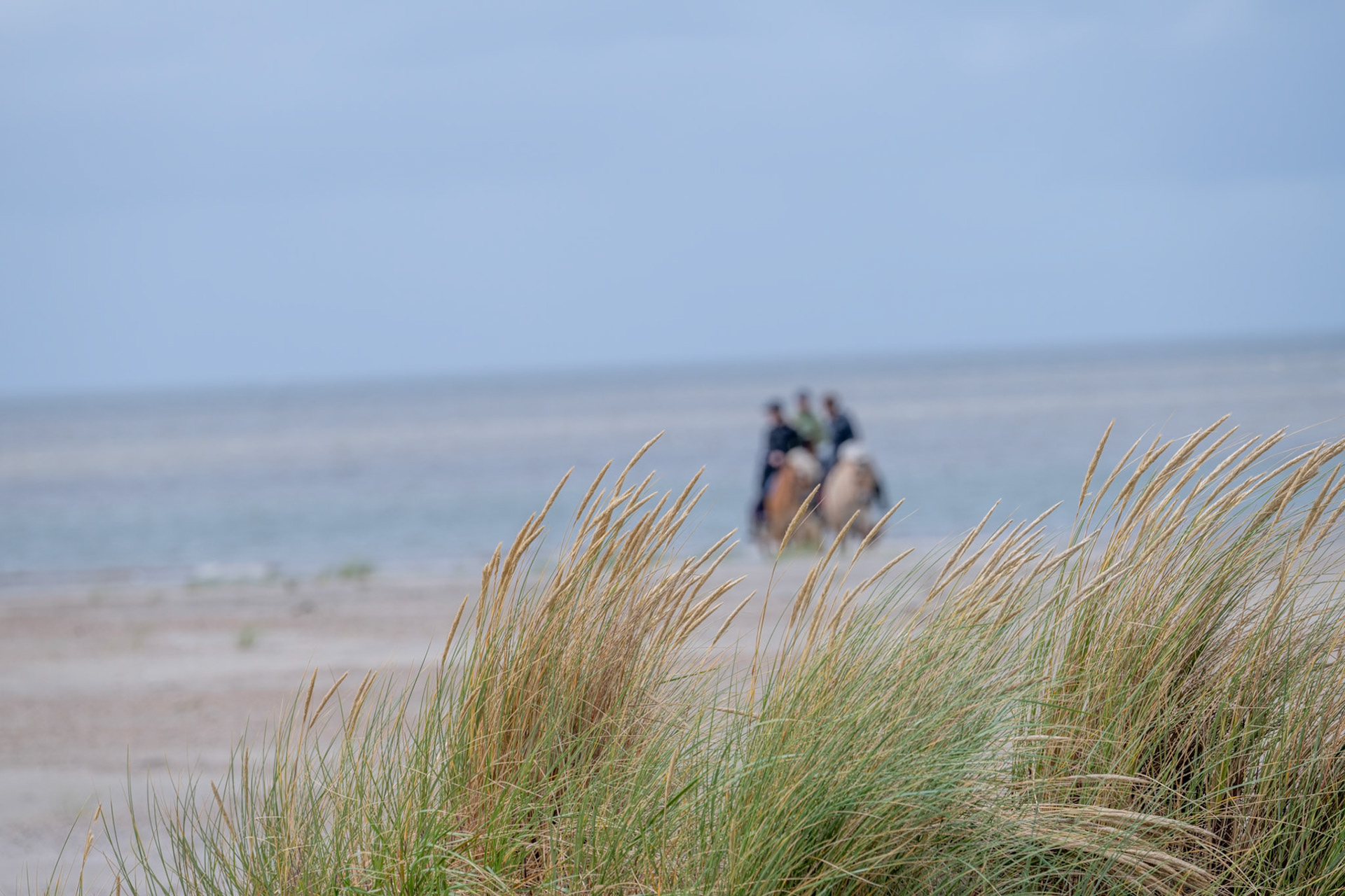 Ameland