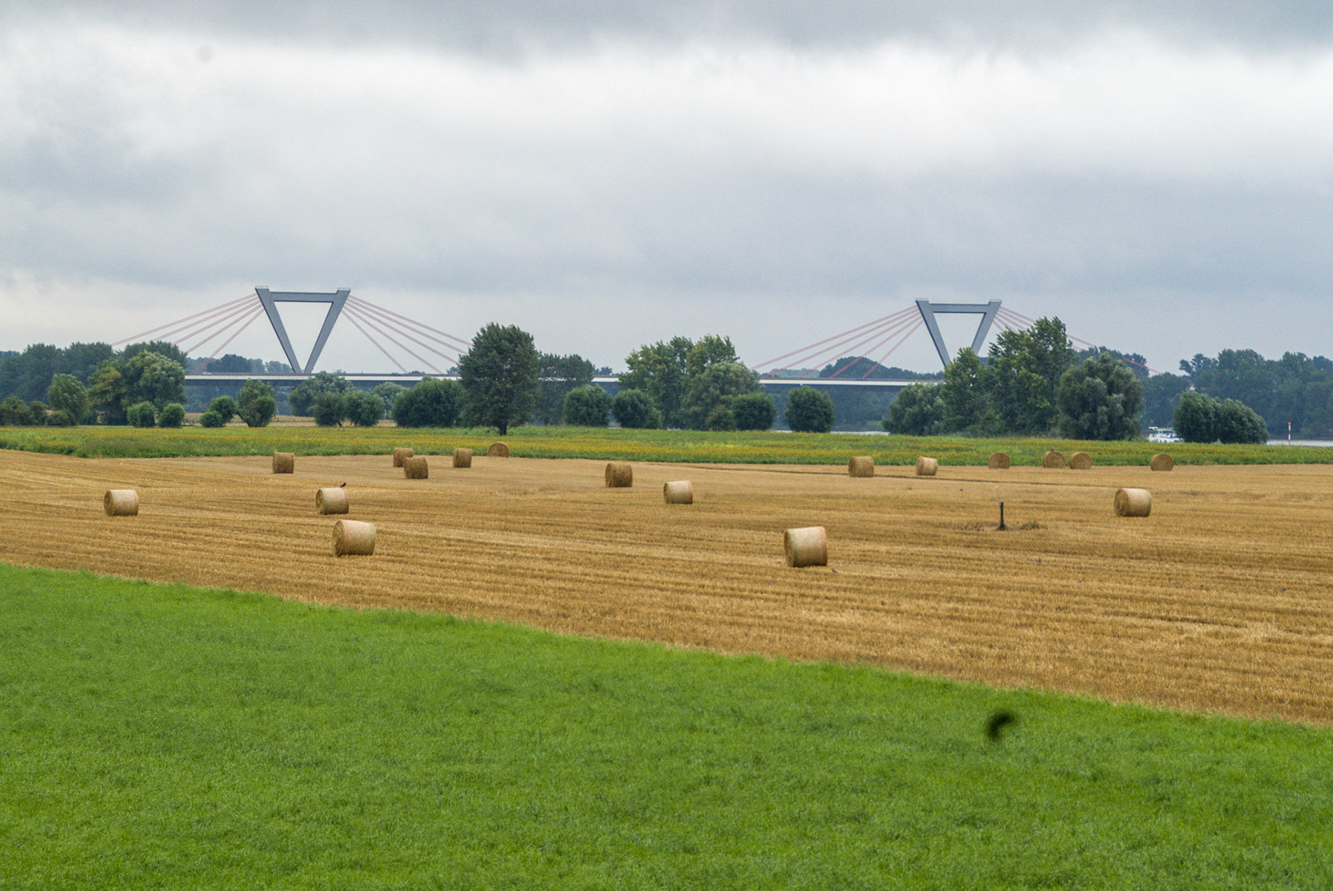 Rhein bei Langs-Kierst