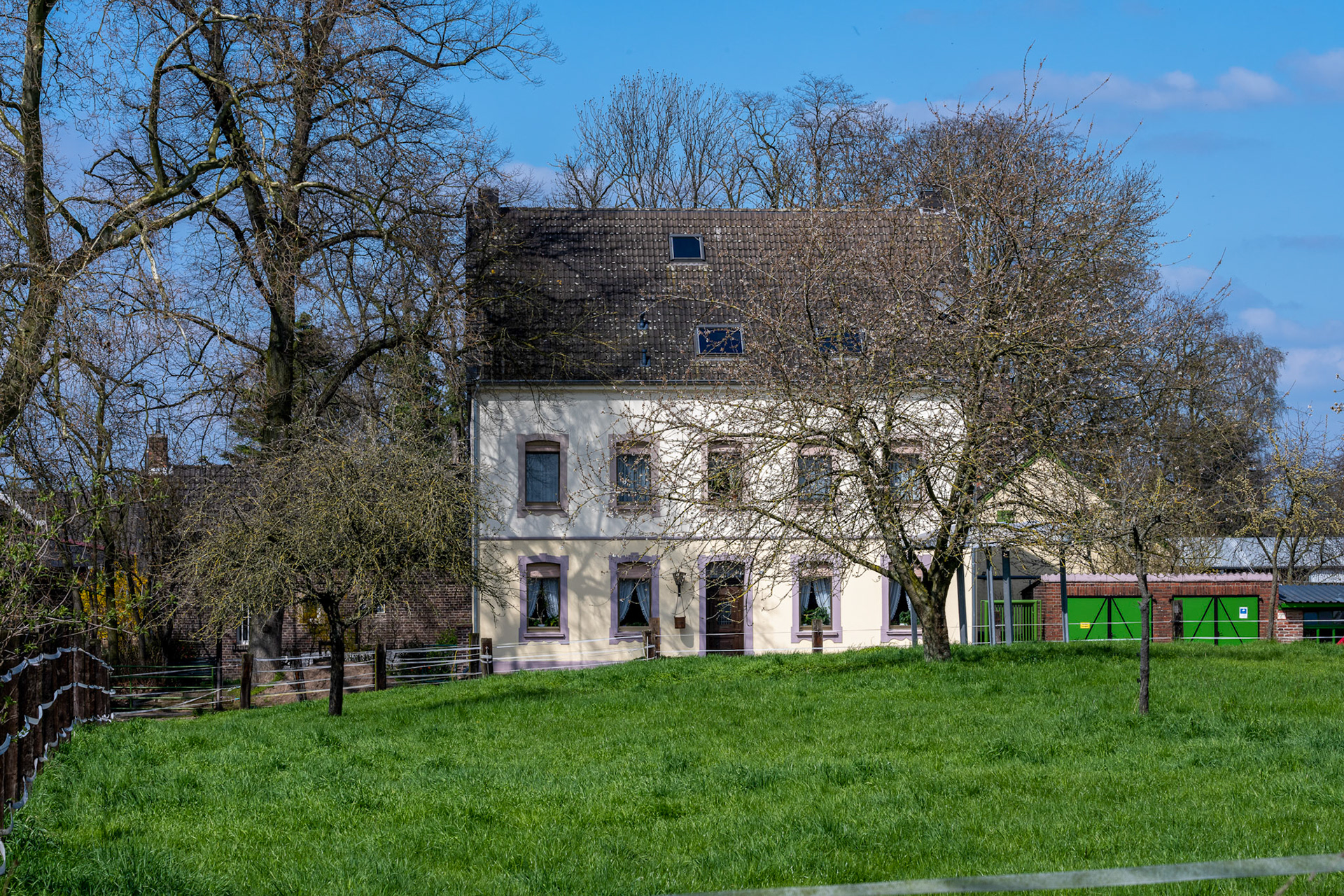 Rhein bei Langs-Kierst
