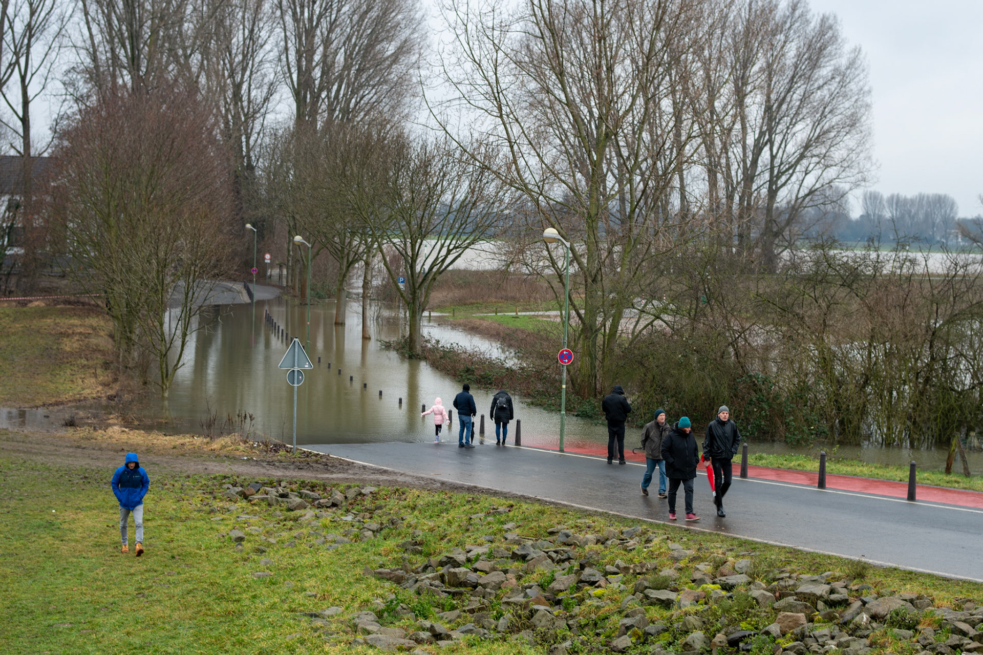 Rhein bei Langs-Kierst