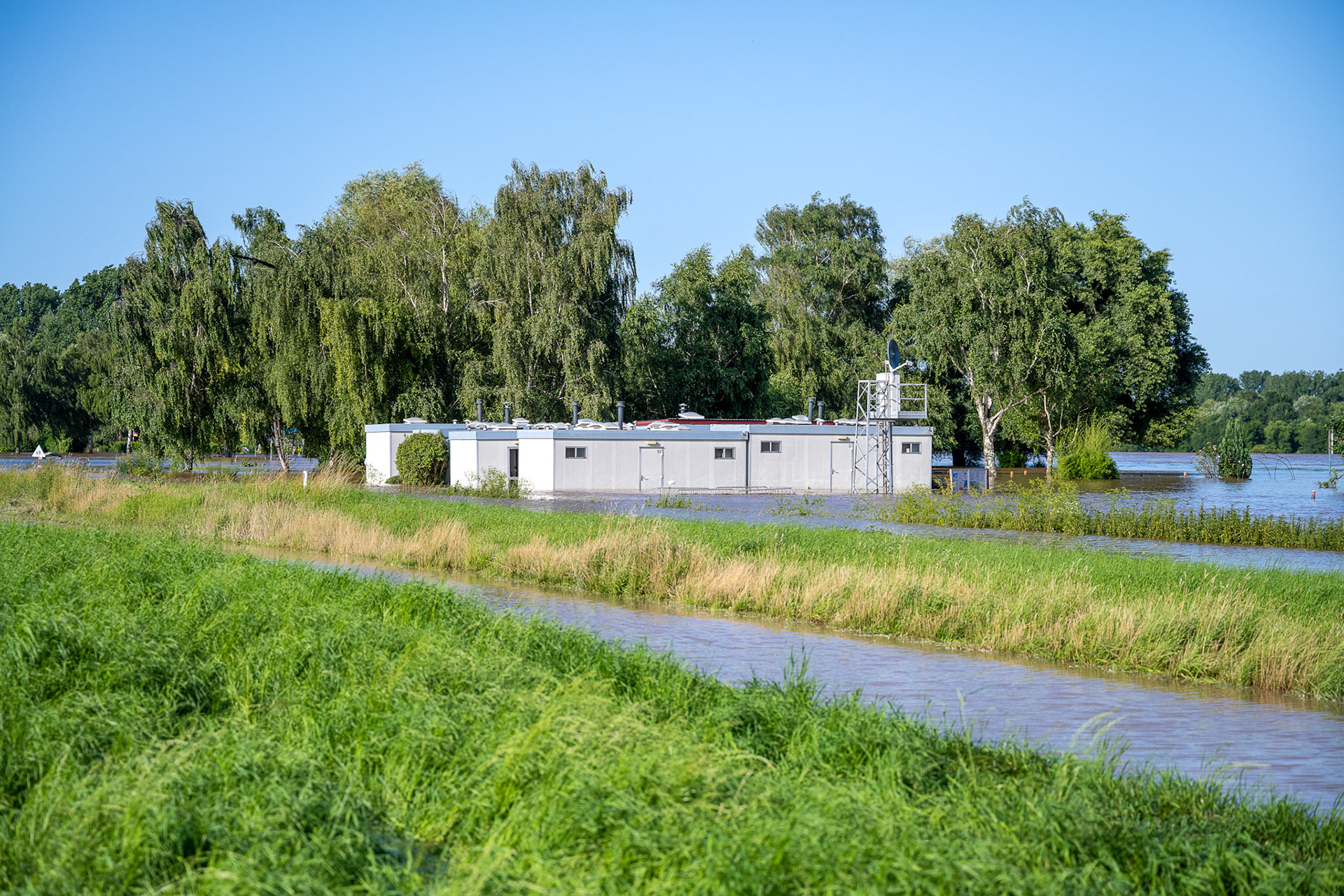Rhein bei Langs-Kierst