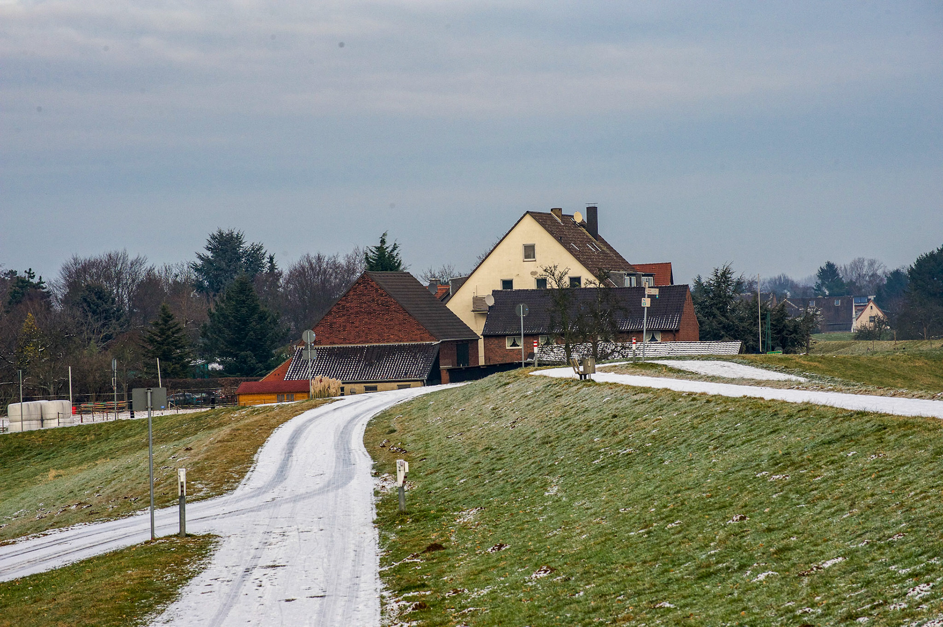 Rhein bei Langs-Kierst