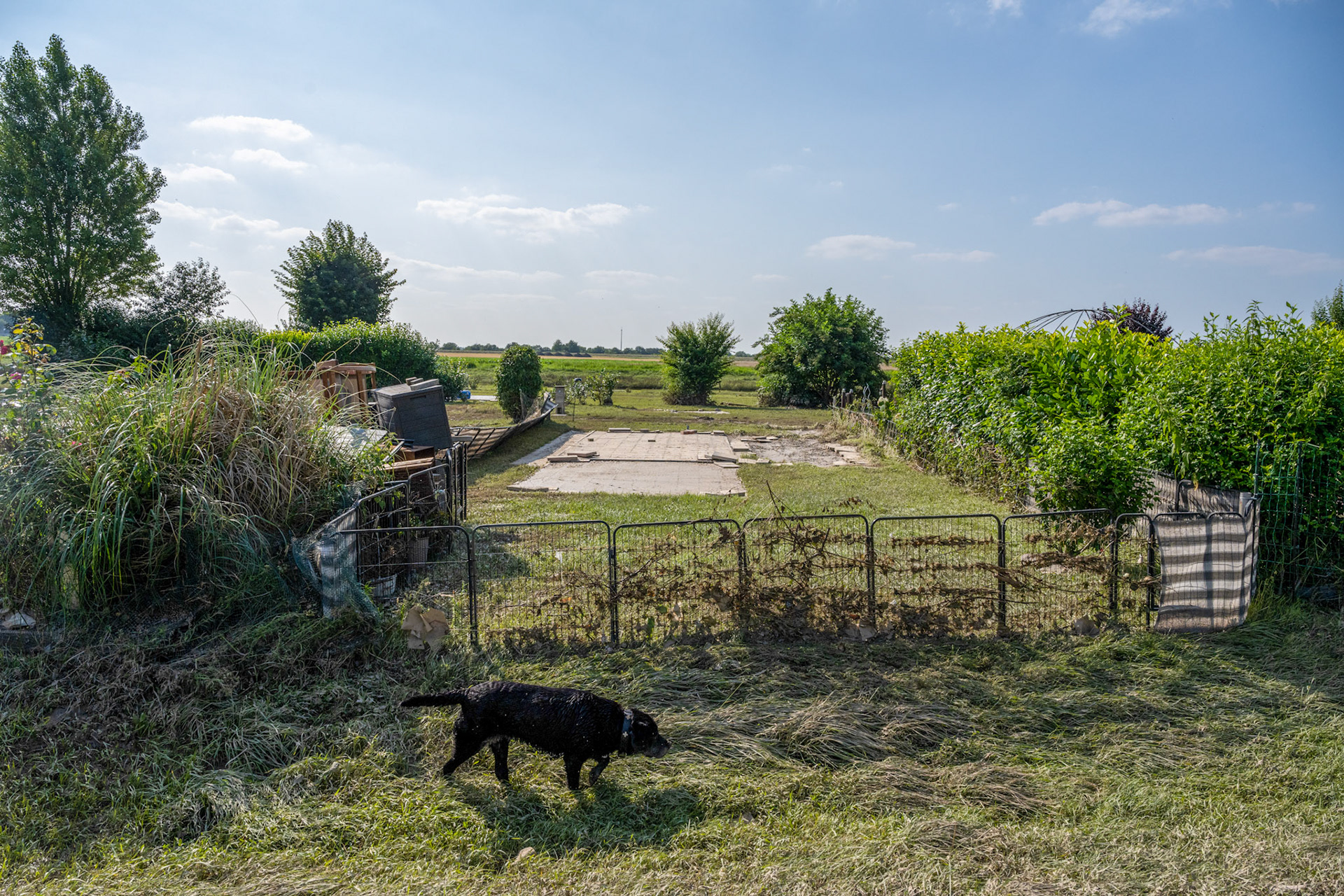 Rhein bei Langs-Kierst